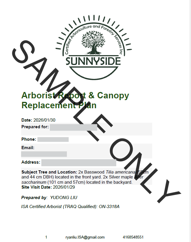 Screenshot 2026-02-03 150019.png