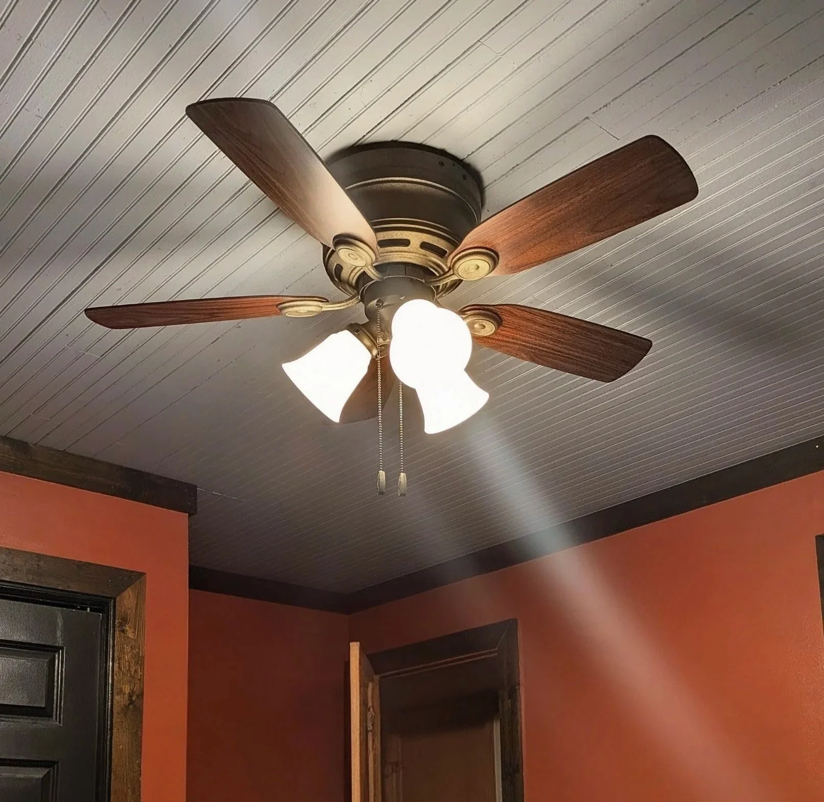 Ceiling Fan Upgrade