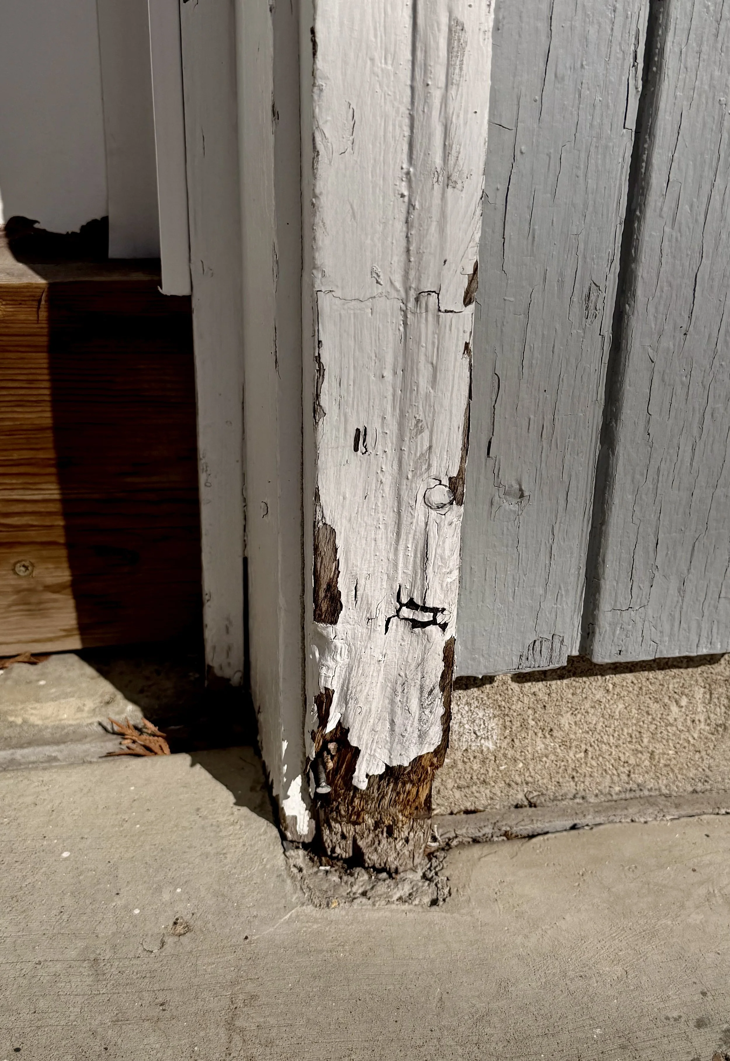 Signs of Rotted Window Trim (And Why It Matters)