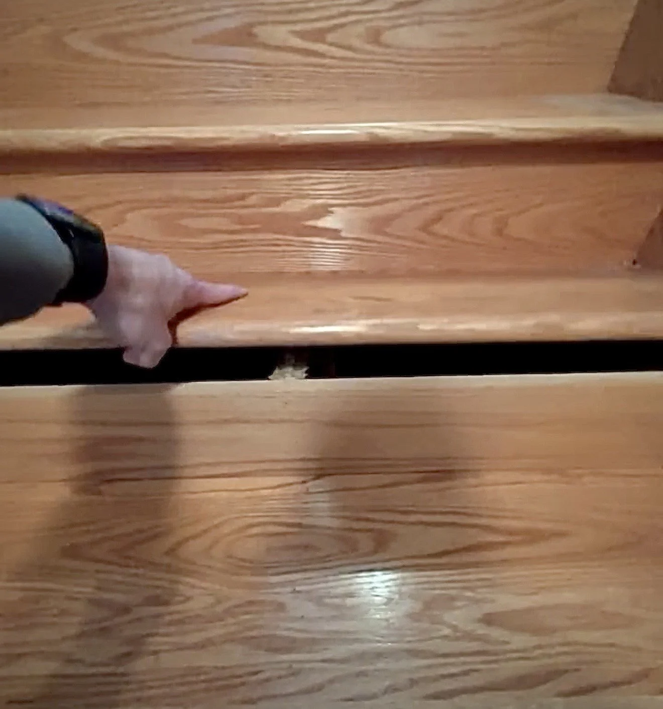 Stair tread removed to inspect and address the underlying structure.