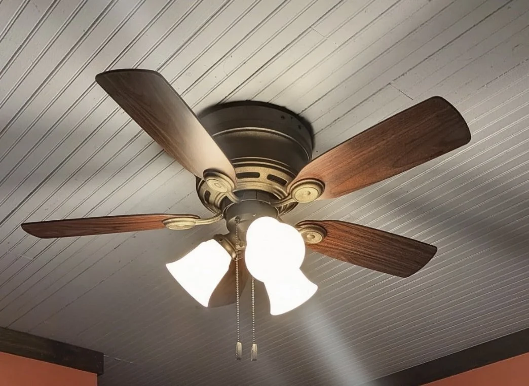 Ceiling Fan Upgrade