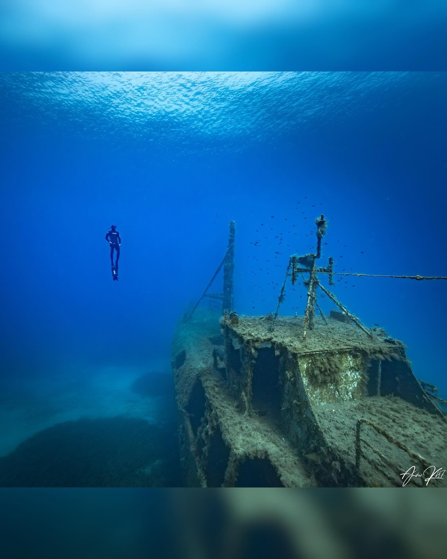 Fundiving and wreckdays are a great way to enjoy all the hard work and training you put in. The scuba divers left after an hour and we had the wreck all for ourselves for 2 hours. 

#freediving #cyprus #hydrosphere #wreck #underwaterphotography
