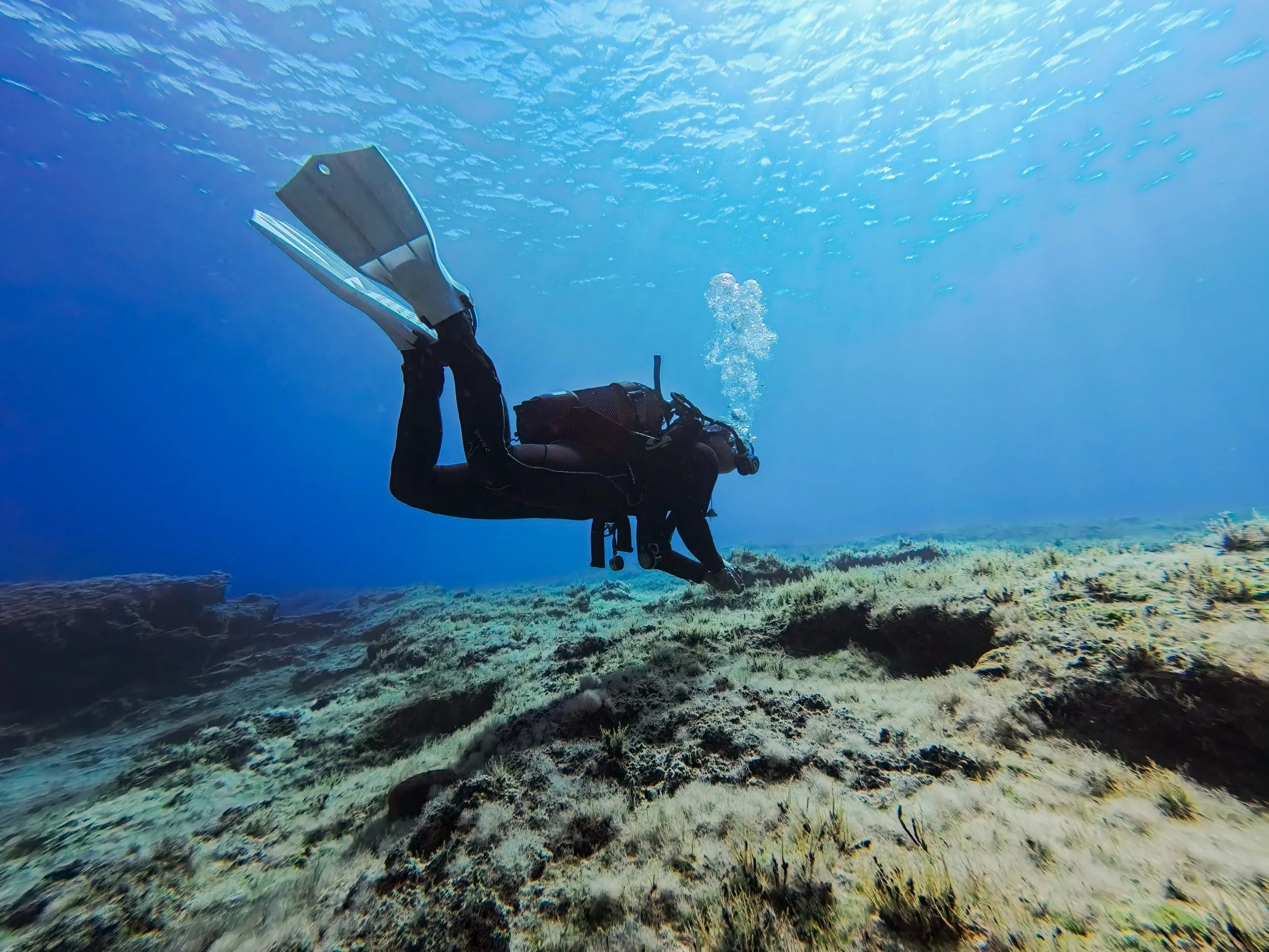 Getting Better at Scuba Diving