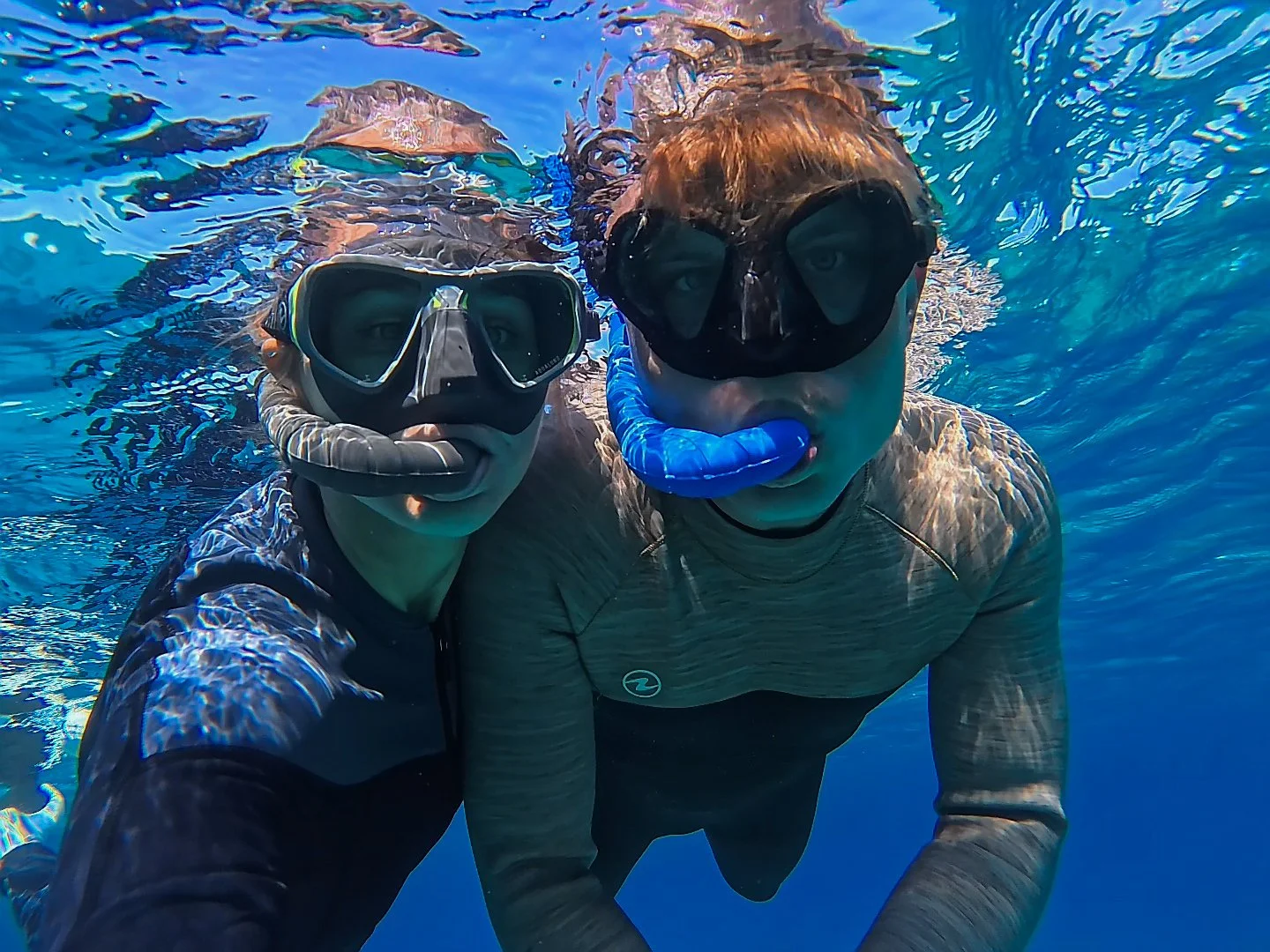 Special Snorkeling Offer