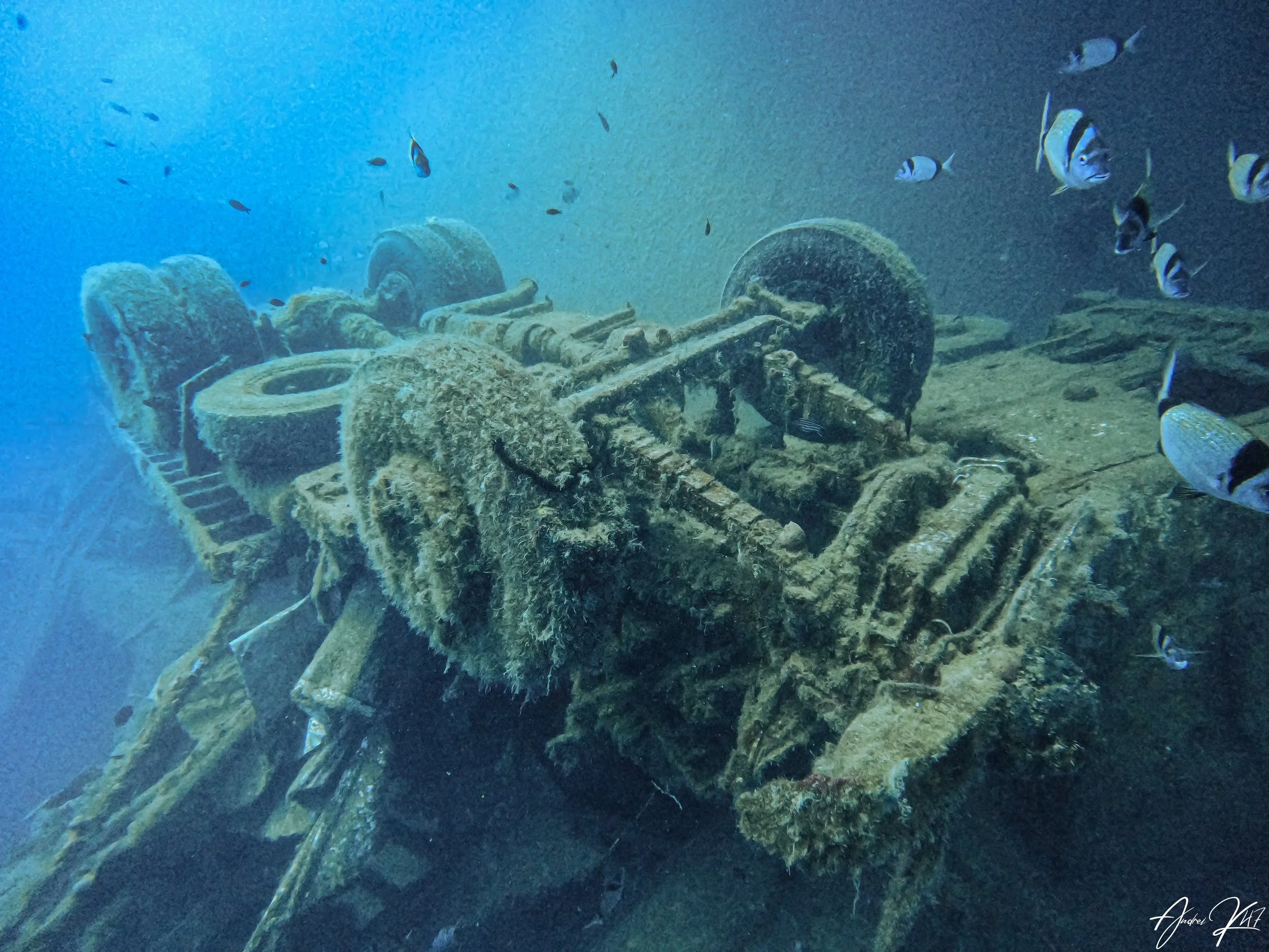 Scuba diver exploring the Zenobia wreck in Larnaca, Cyprus, with sunken trucks and marine life surrounding the site.