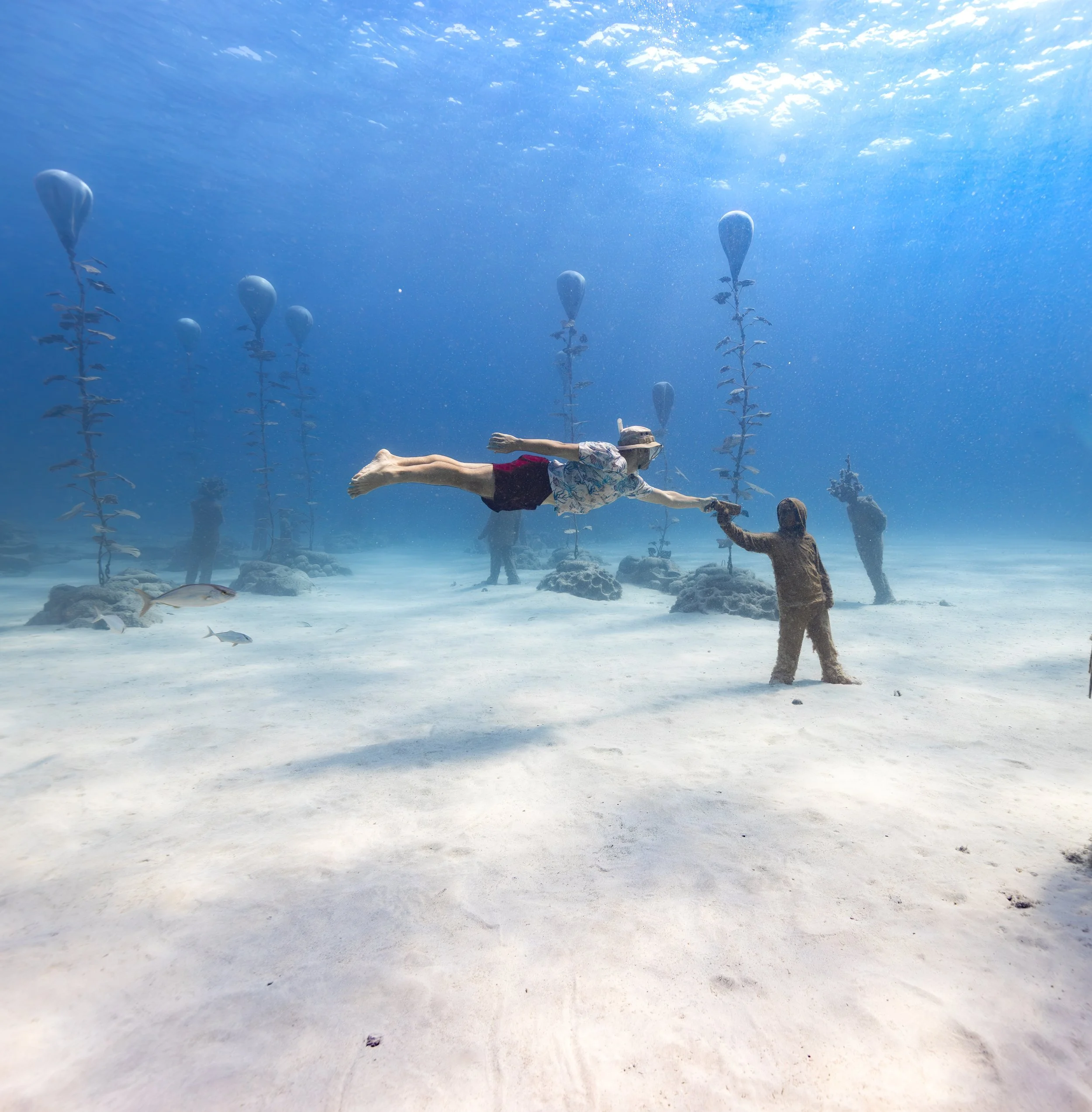 Freediver at MUSAN