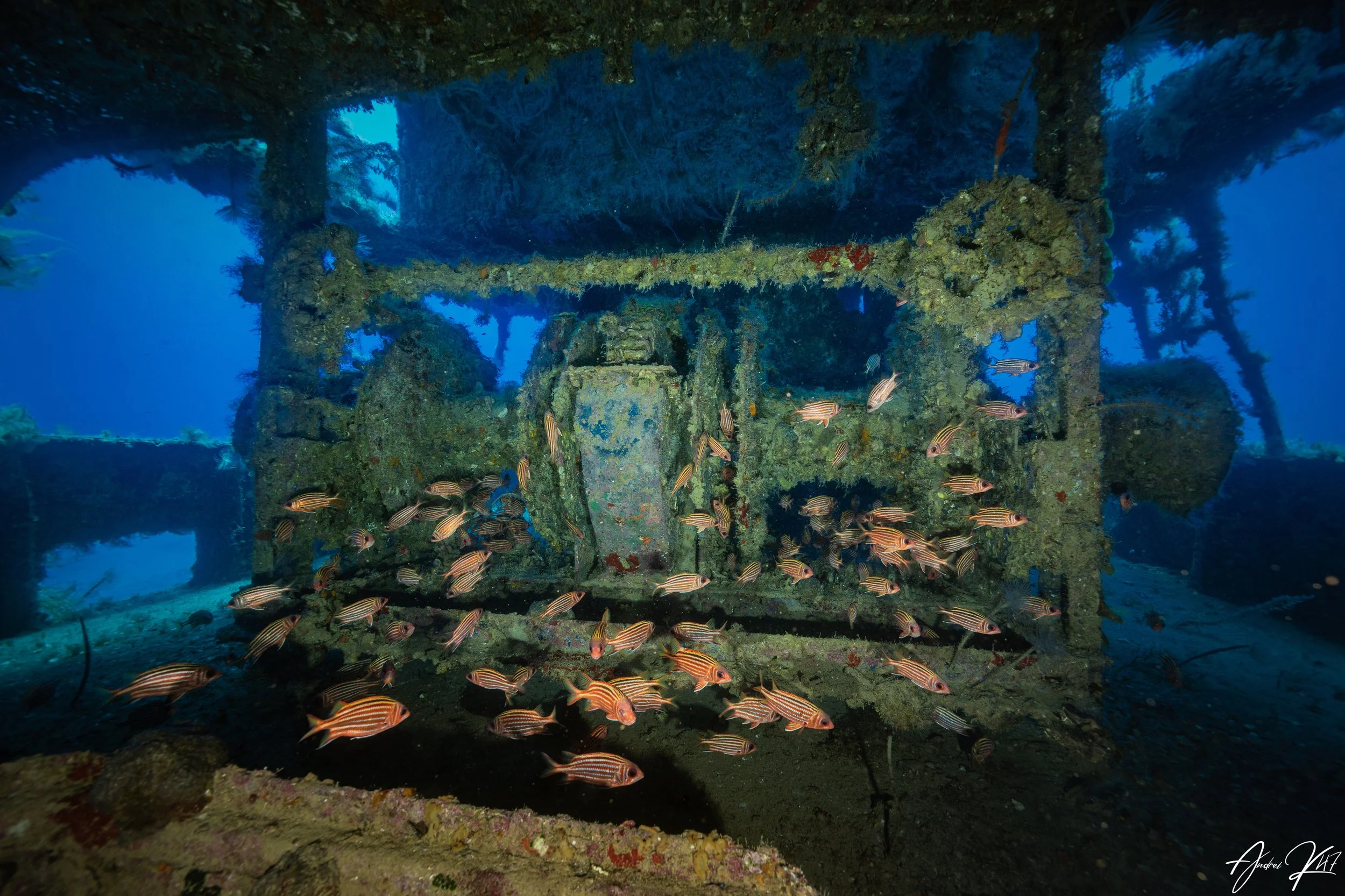 Anchor windlass Nemesis III