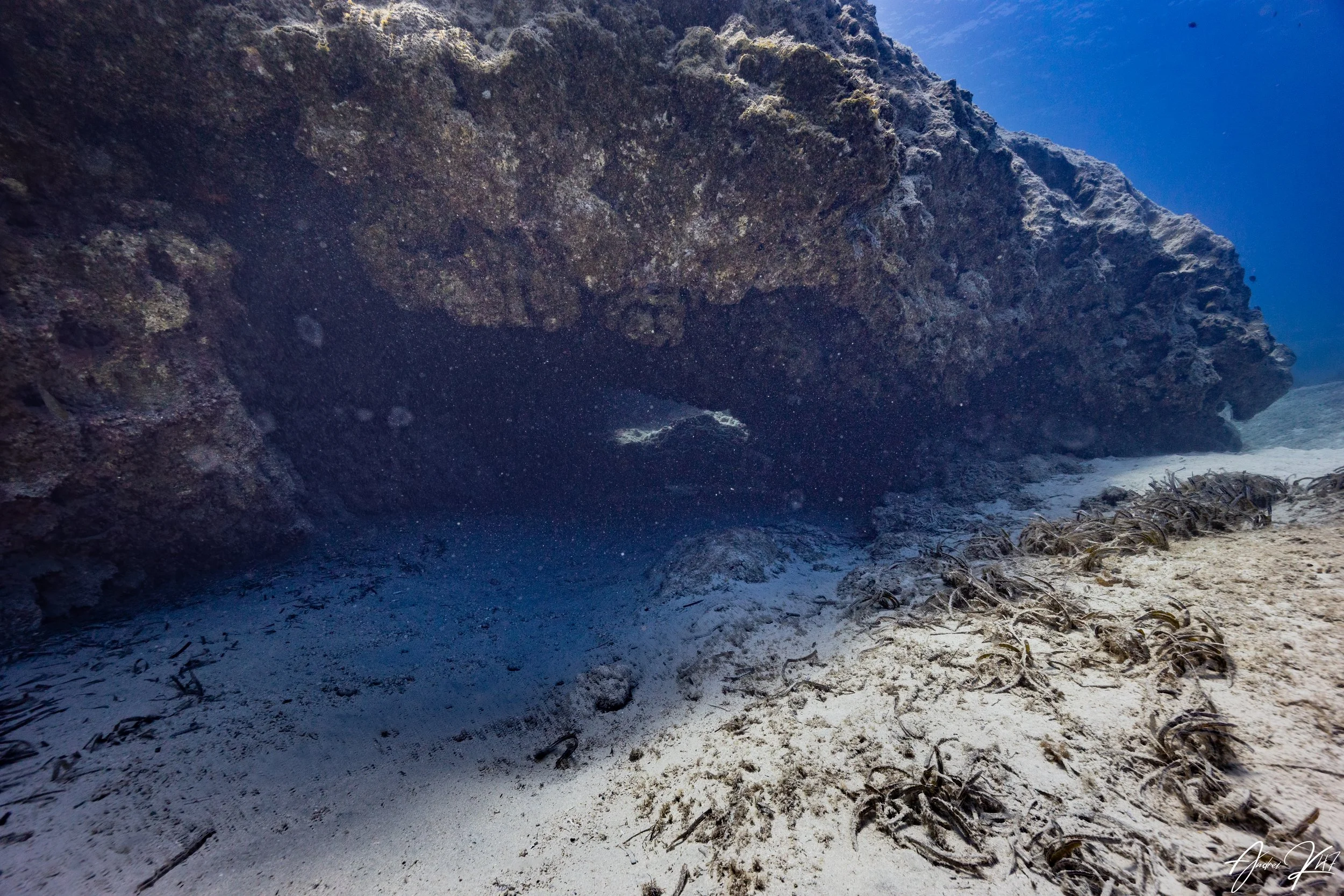 Underwater cave and rocky reef in Protaras, Cyprus, viewed during a guided scuba dive from shore.