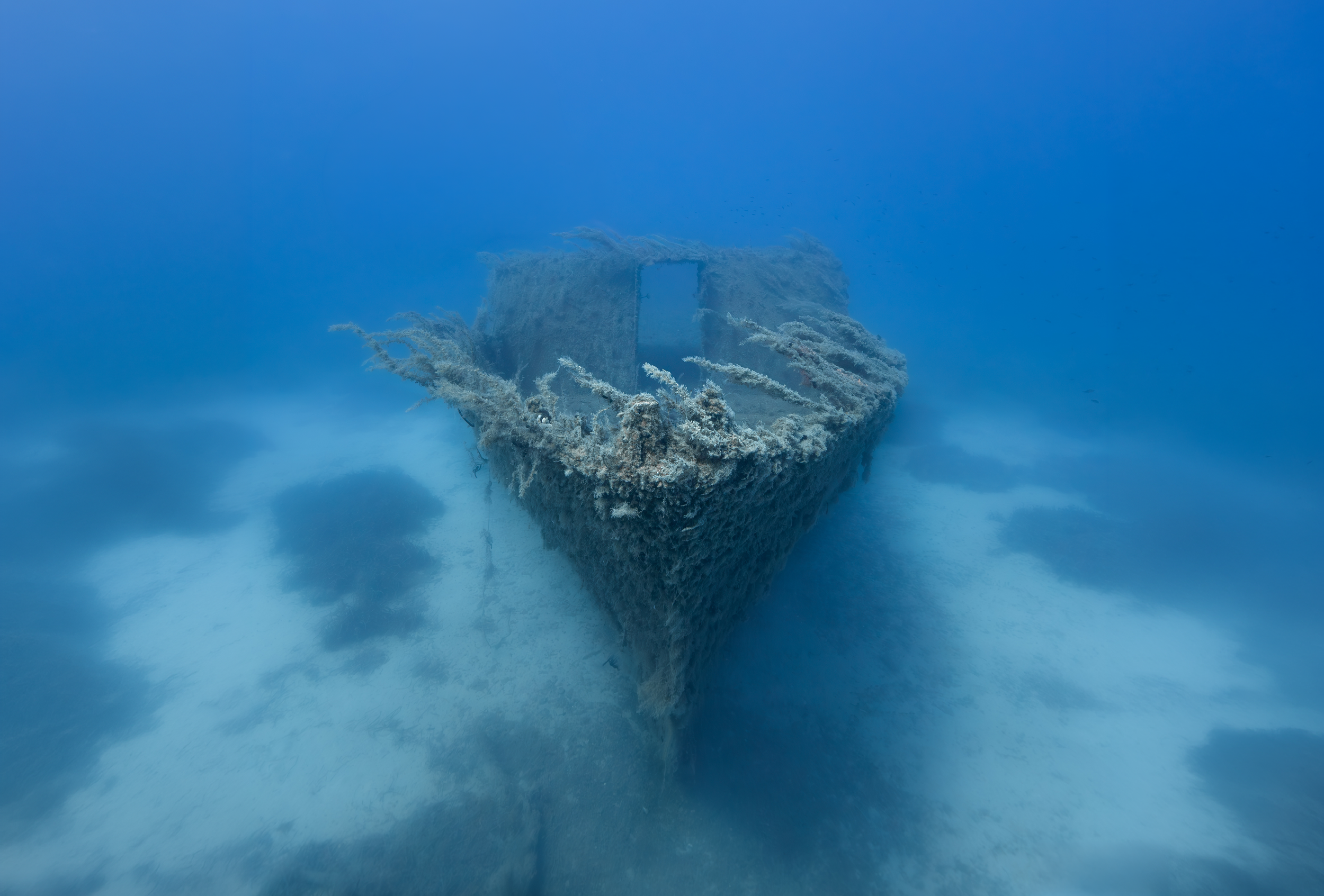 Underwater photo of the Liberty wreck near Protaras, Cyprus, showing the ship’s bow resting on the sandy seabed and covered in marine growth.