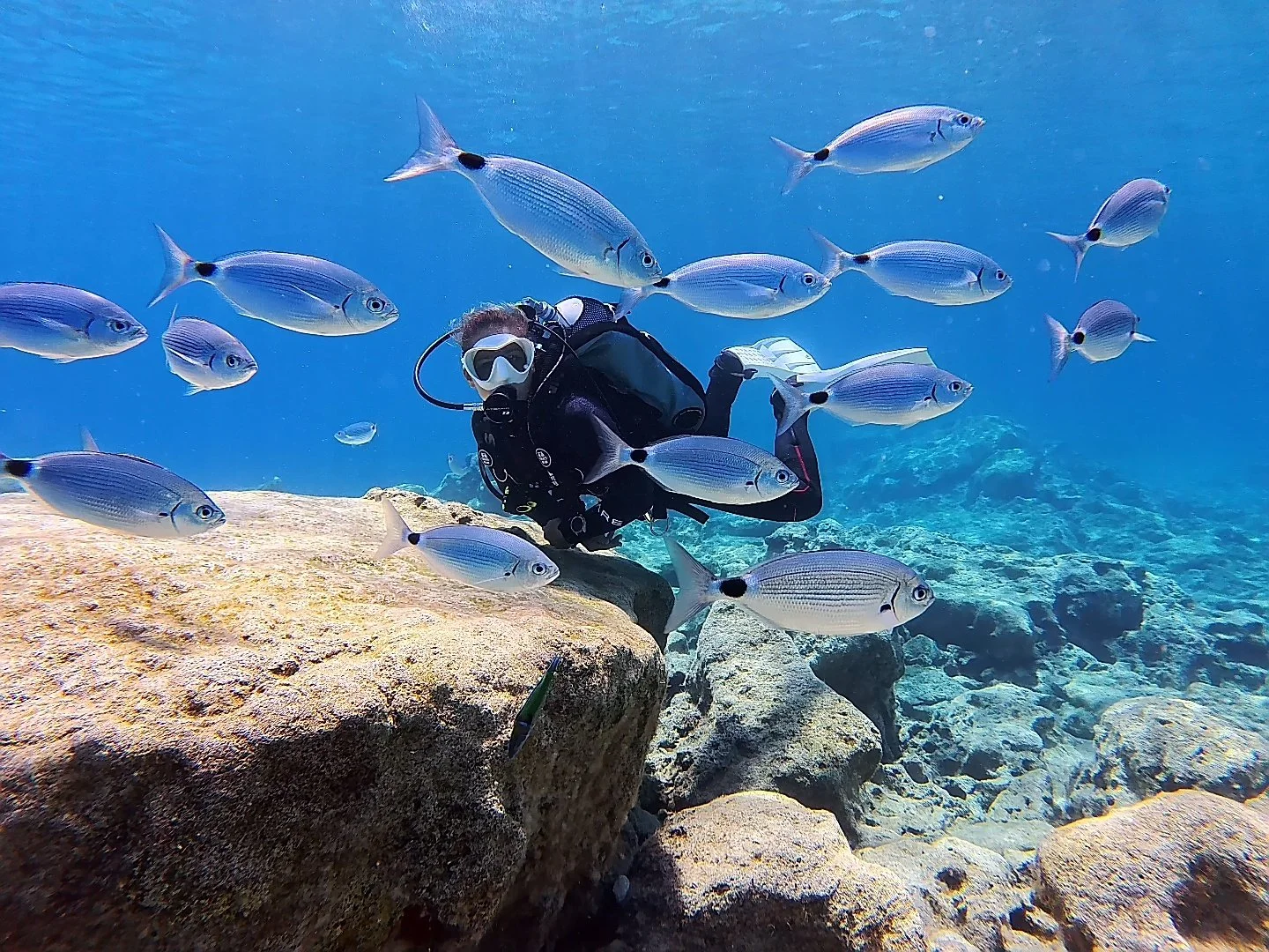 Scuba diver surrounded by fish near rocky reef in Protaras, Cyprus, showcasing guided scuba diving trips.