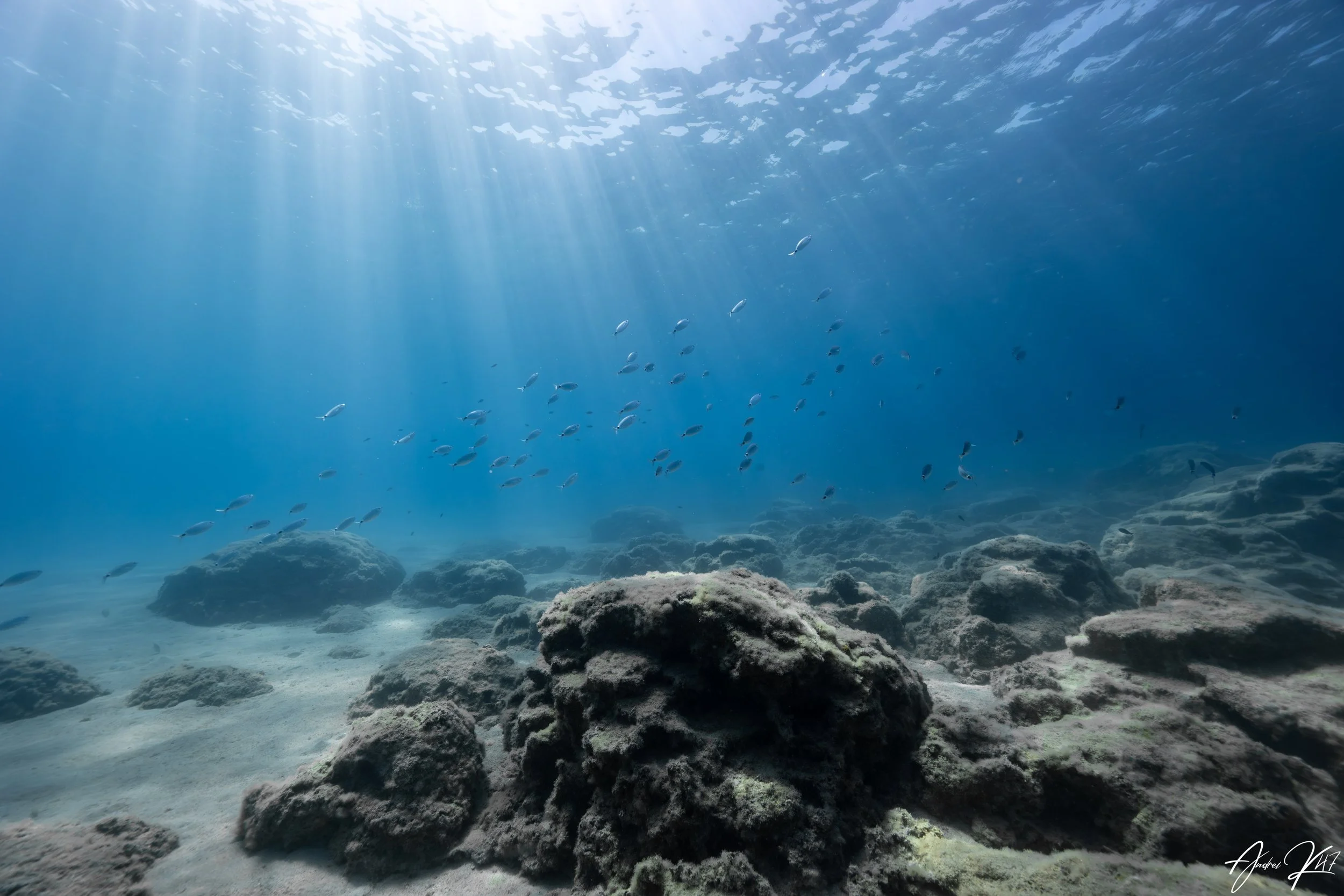 Sunlight streaming through clear water over rocky seabed with small fish near Protaras, Cyprus.