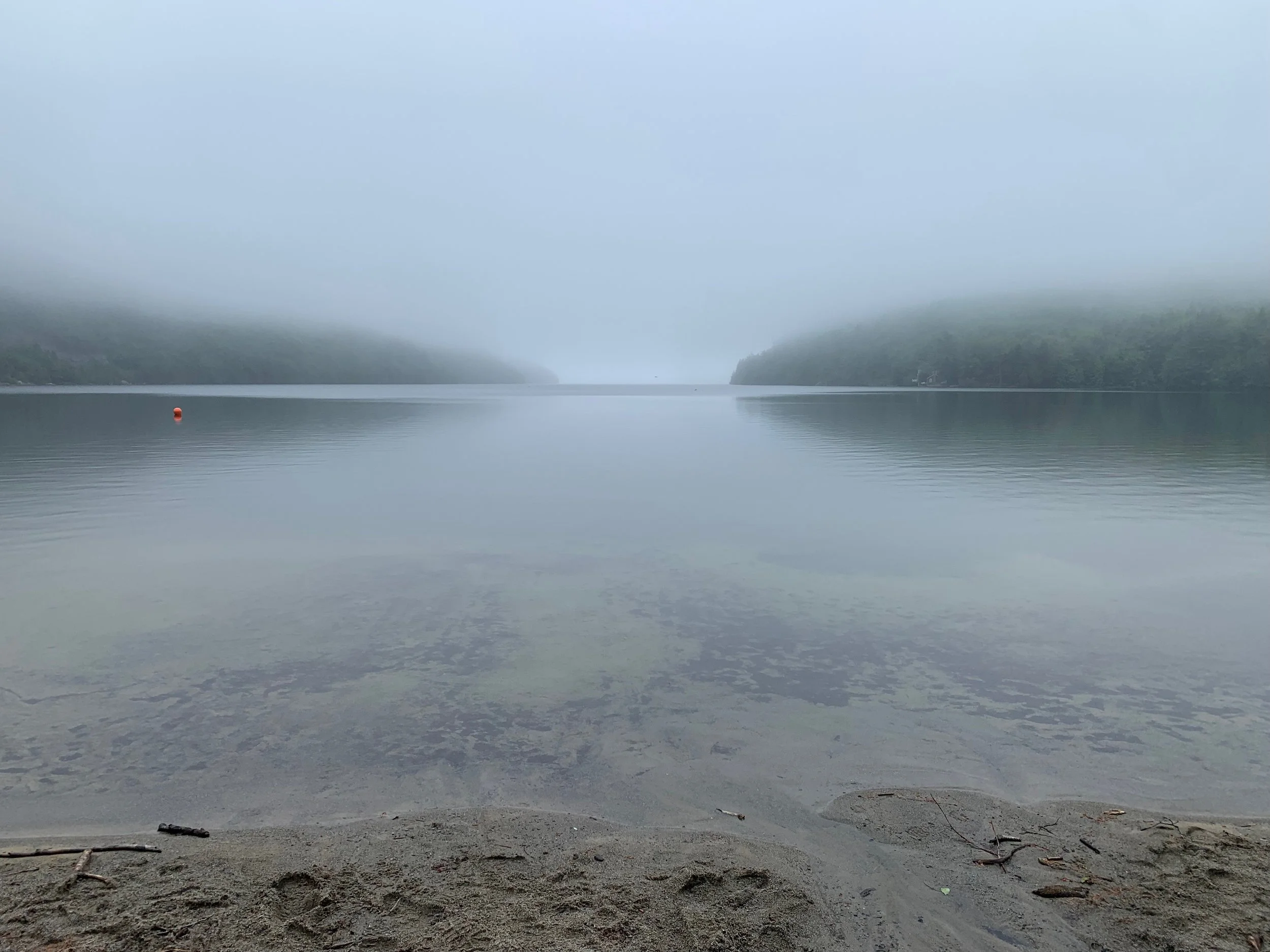 A foggy ocean scene with a sandy shore in the foreground, calm water reflecting the sky, and forested hills barely visible through the fog in the background.