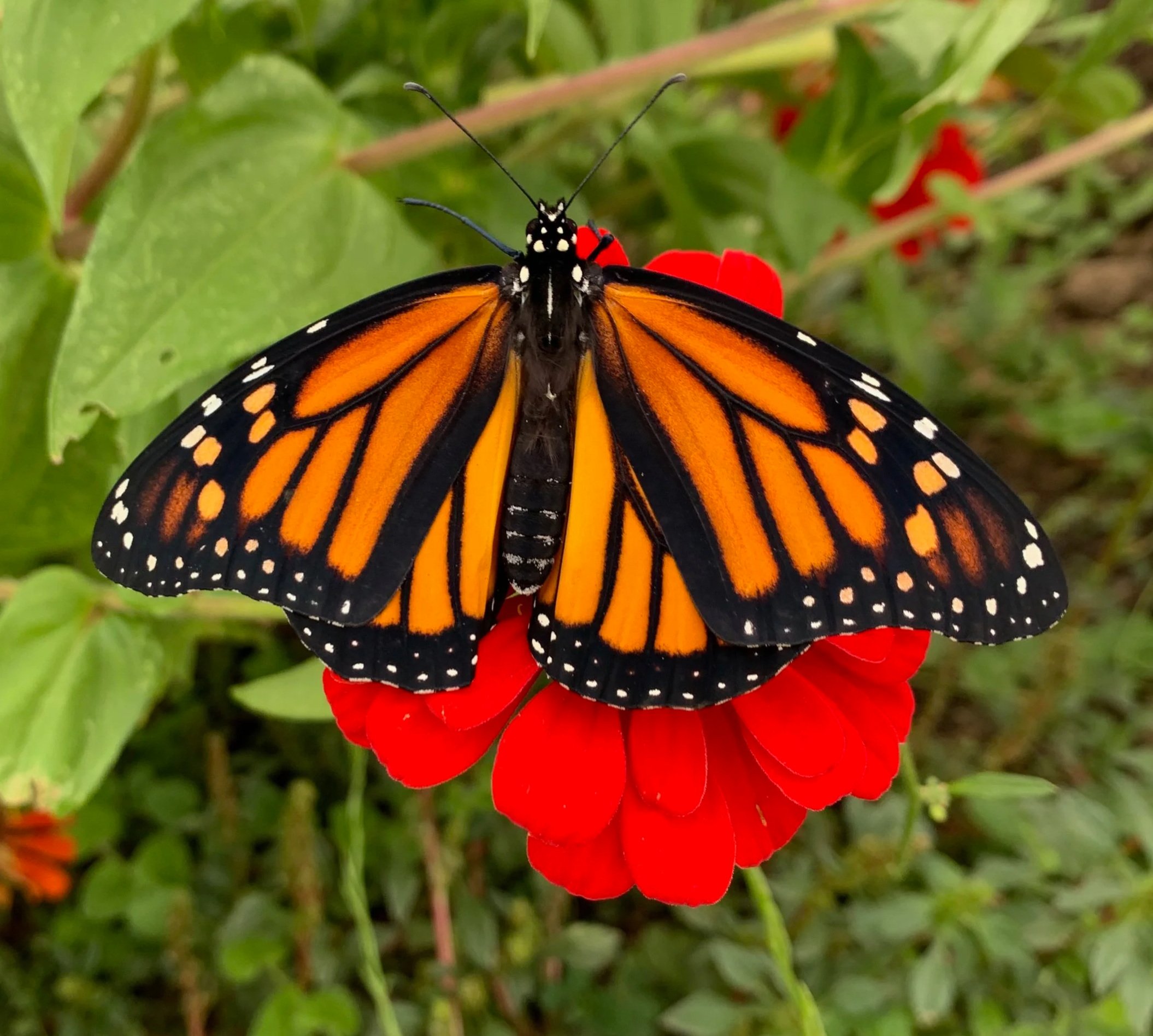 Women’s Nature Day