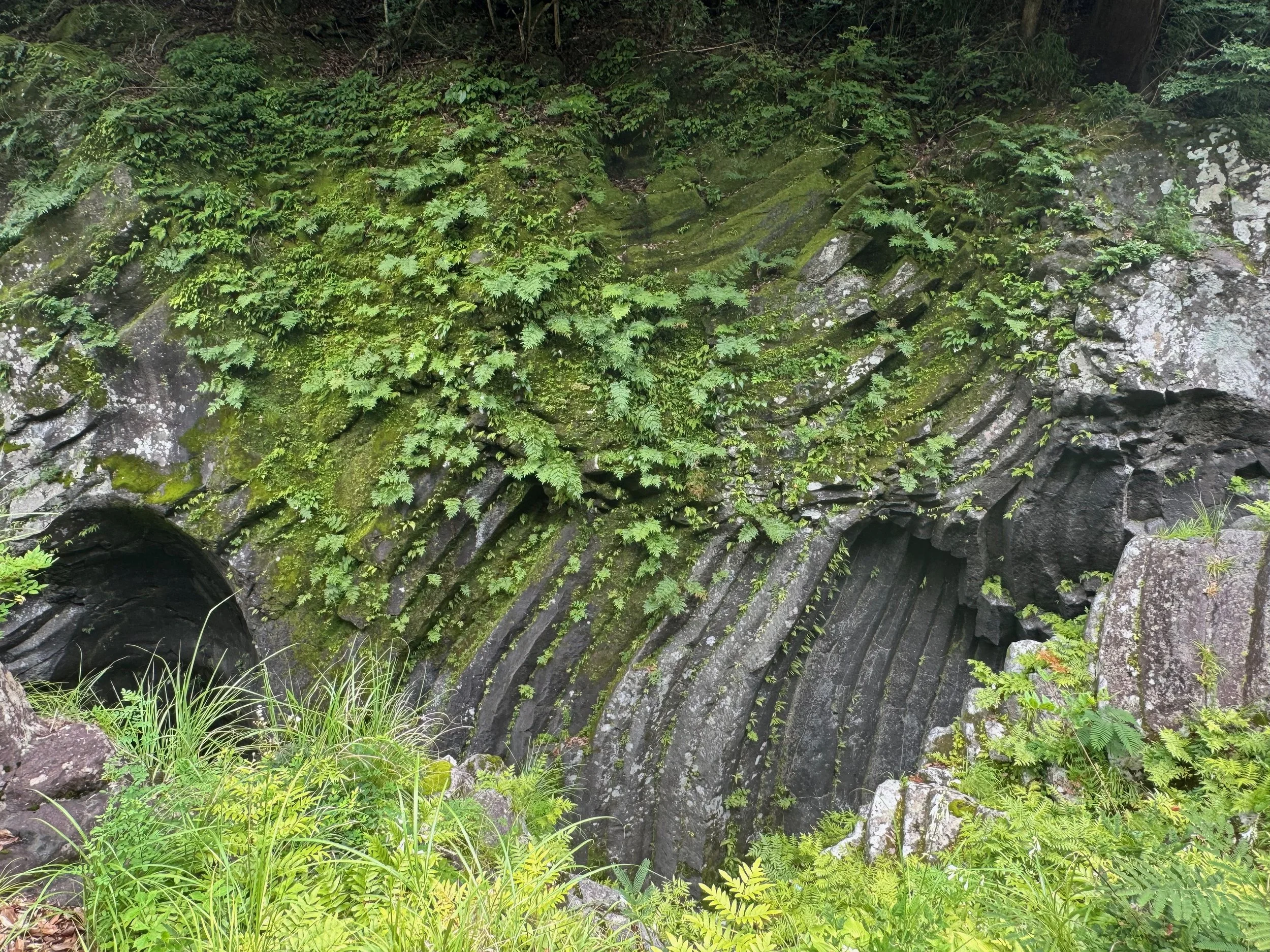 Steep rocky hillside covered in lush green moss and ferns, with layered volcanic rock formations and vegetation at the bottom.