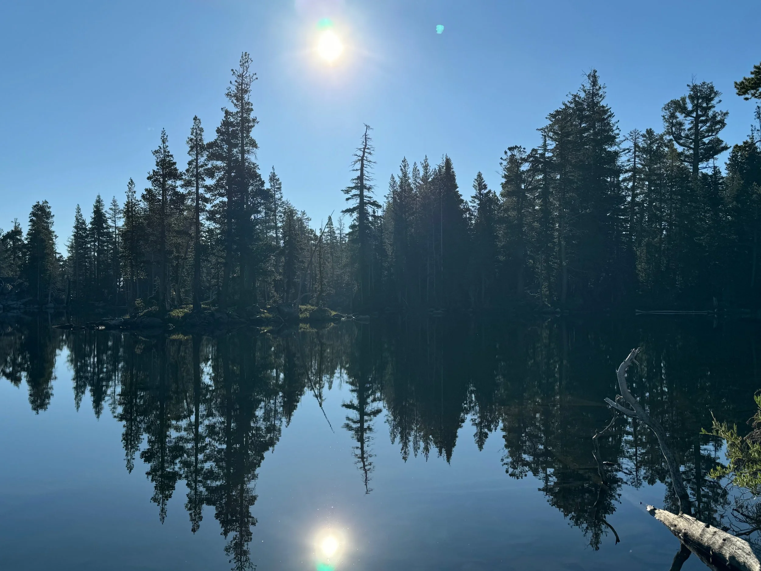 A lake reflecting a forest of tall pine trees under a clear blue sky with the bright sun shining overhead.