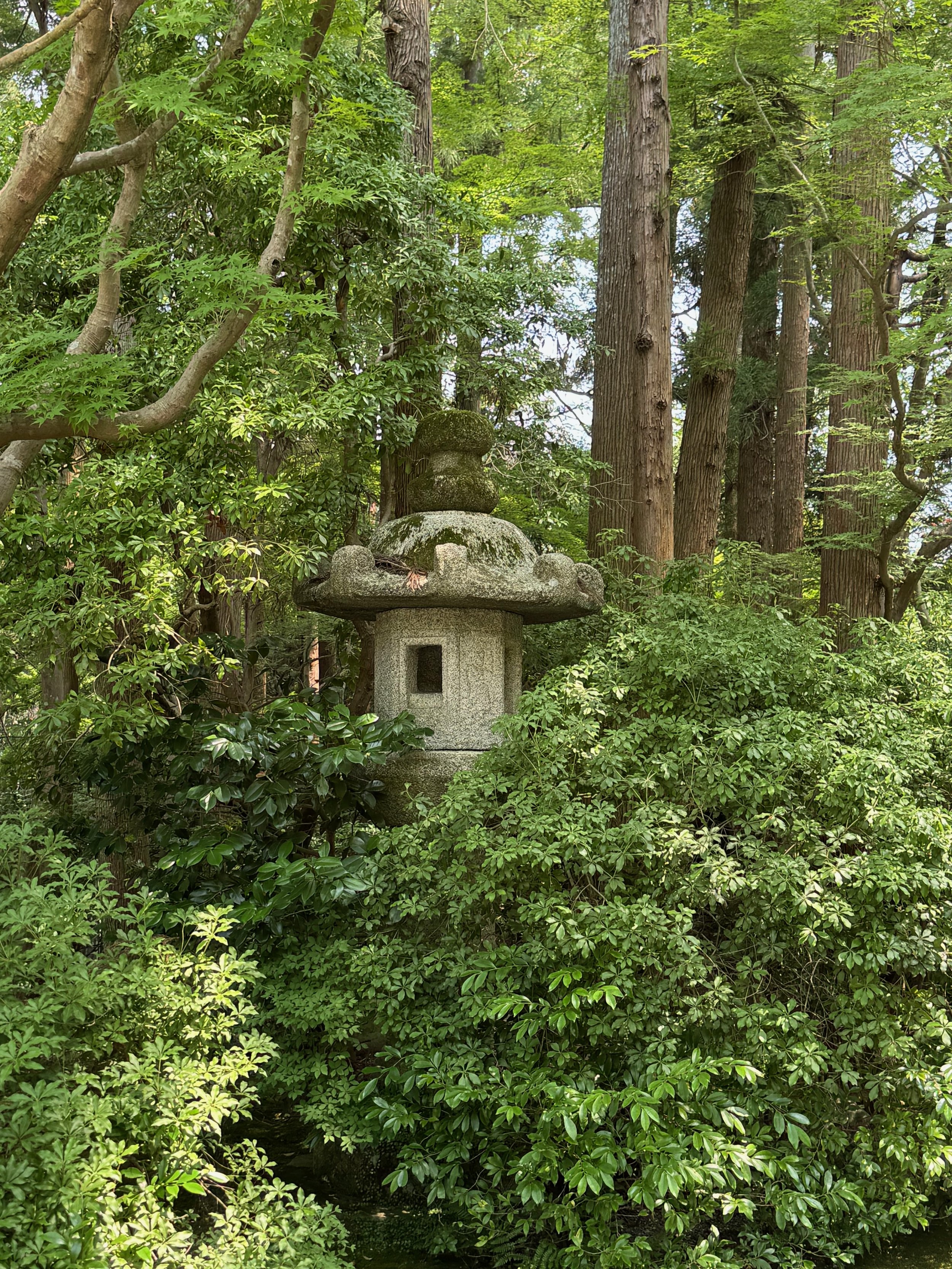A stone lantern partially hidden by lush green foliage and tall trees in a forest.
