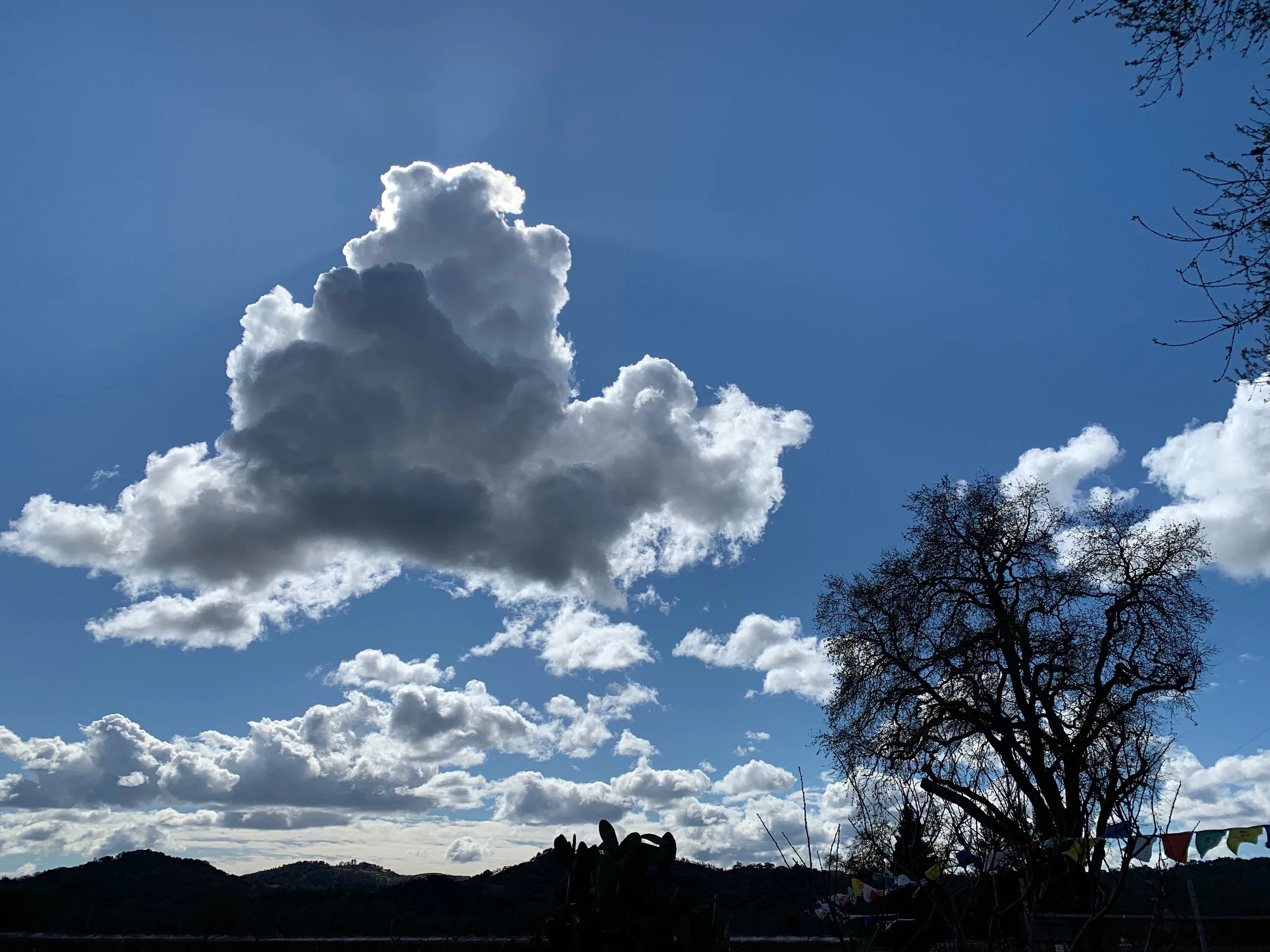Cloudy sky with large dark and white clouds above a silhouette of an oak tree and distant hills.