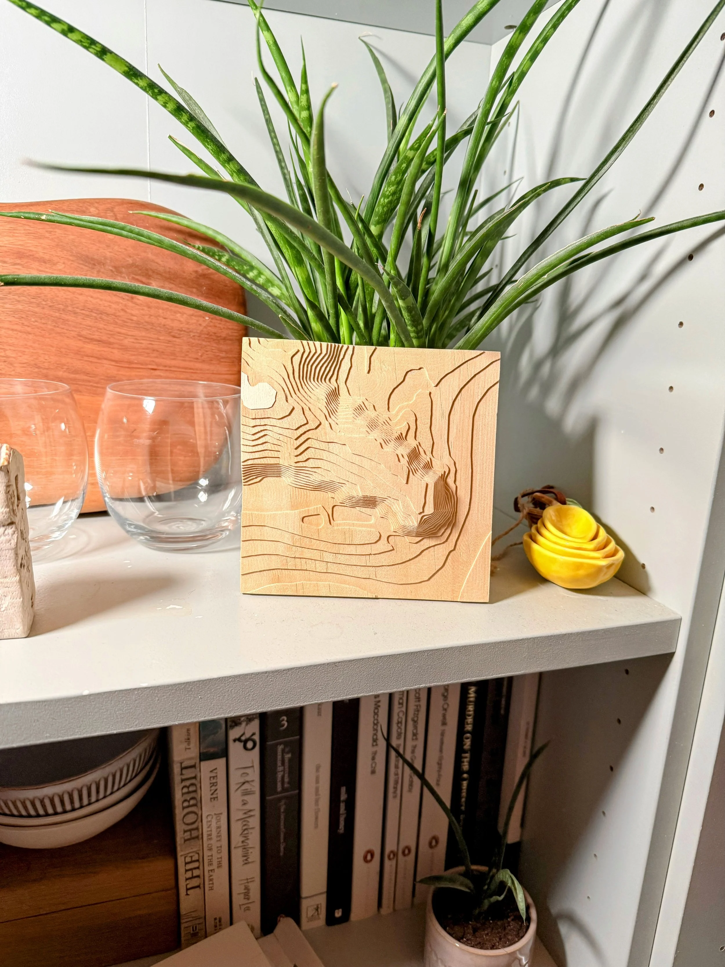 Close-up of a white bookshelf with various decorative items including a wooden Contour map modle, two clear glass bowls, a small plant in a white pot, a yellow shell, and a large green plant in a wooden square planter. Books are on the lower shelf.