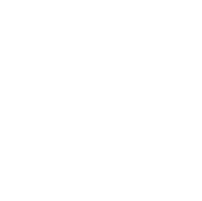 Avondale Neighborhood Association