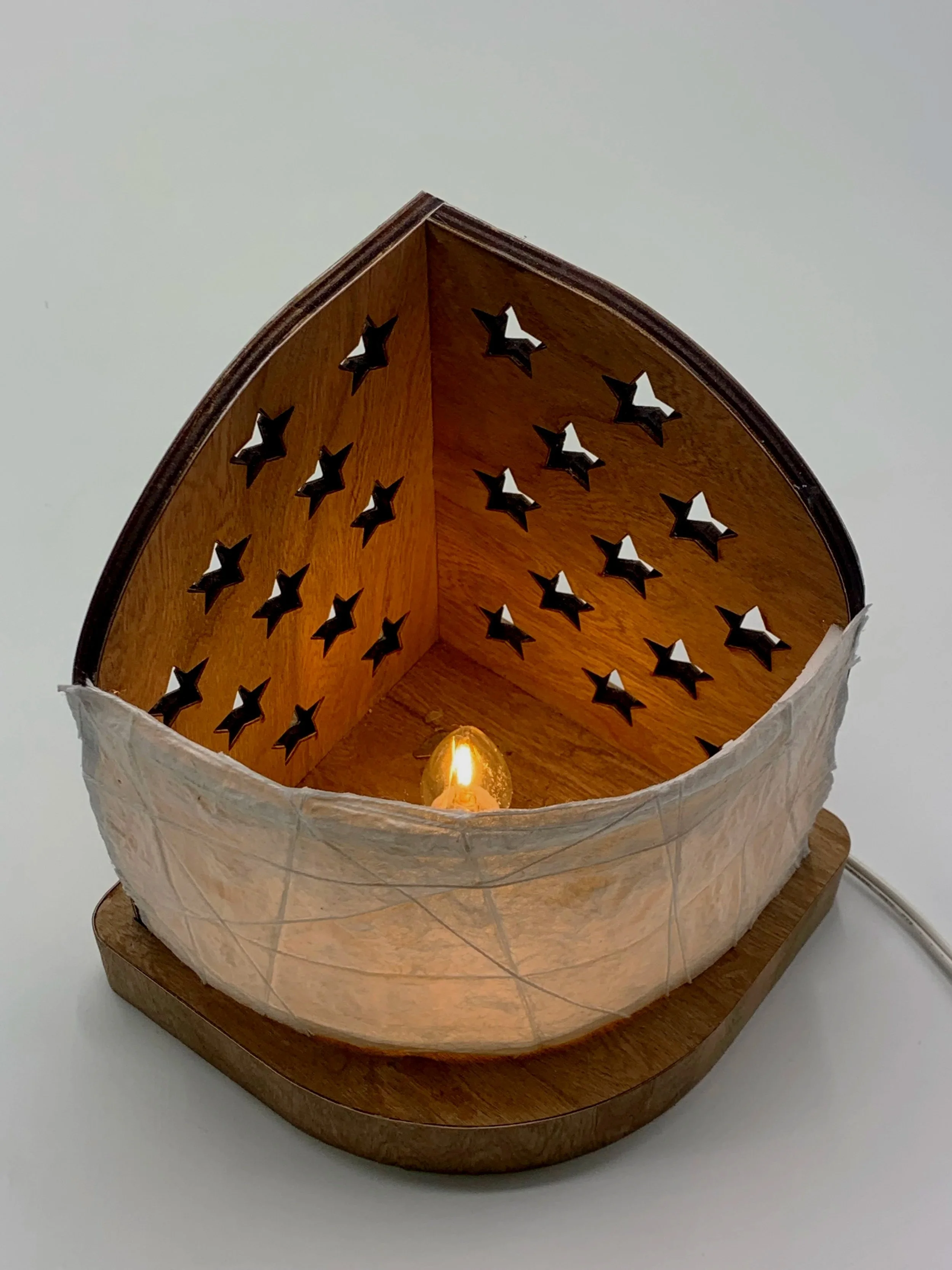 Lamp made through Laser cutting plywood, and 3D printing bone, for Washipaper translucent effect. 