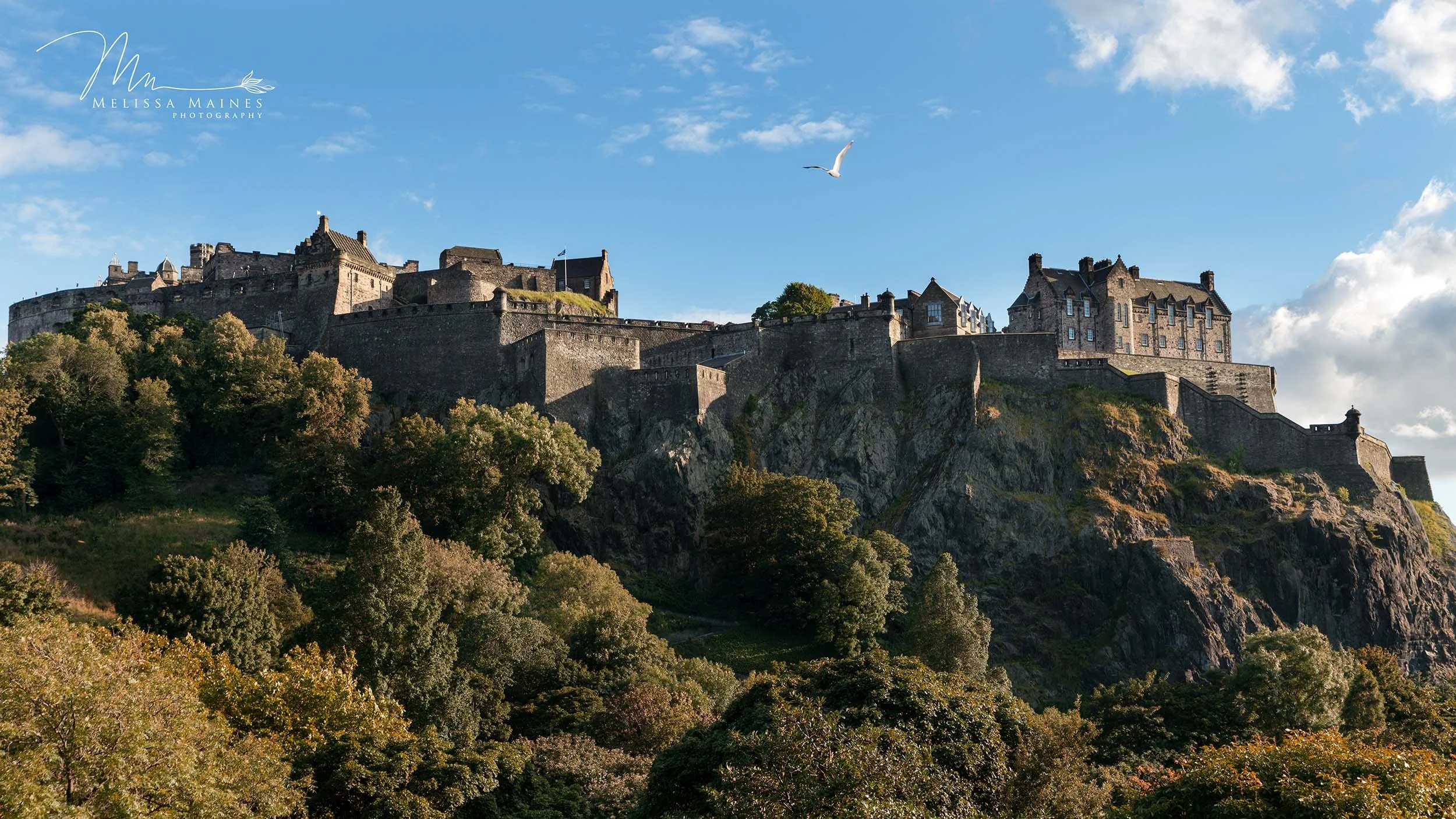 Edinburgh castle perched on a rocky hillside surrounded by green trees.