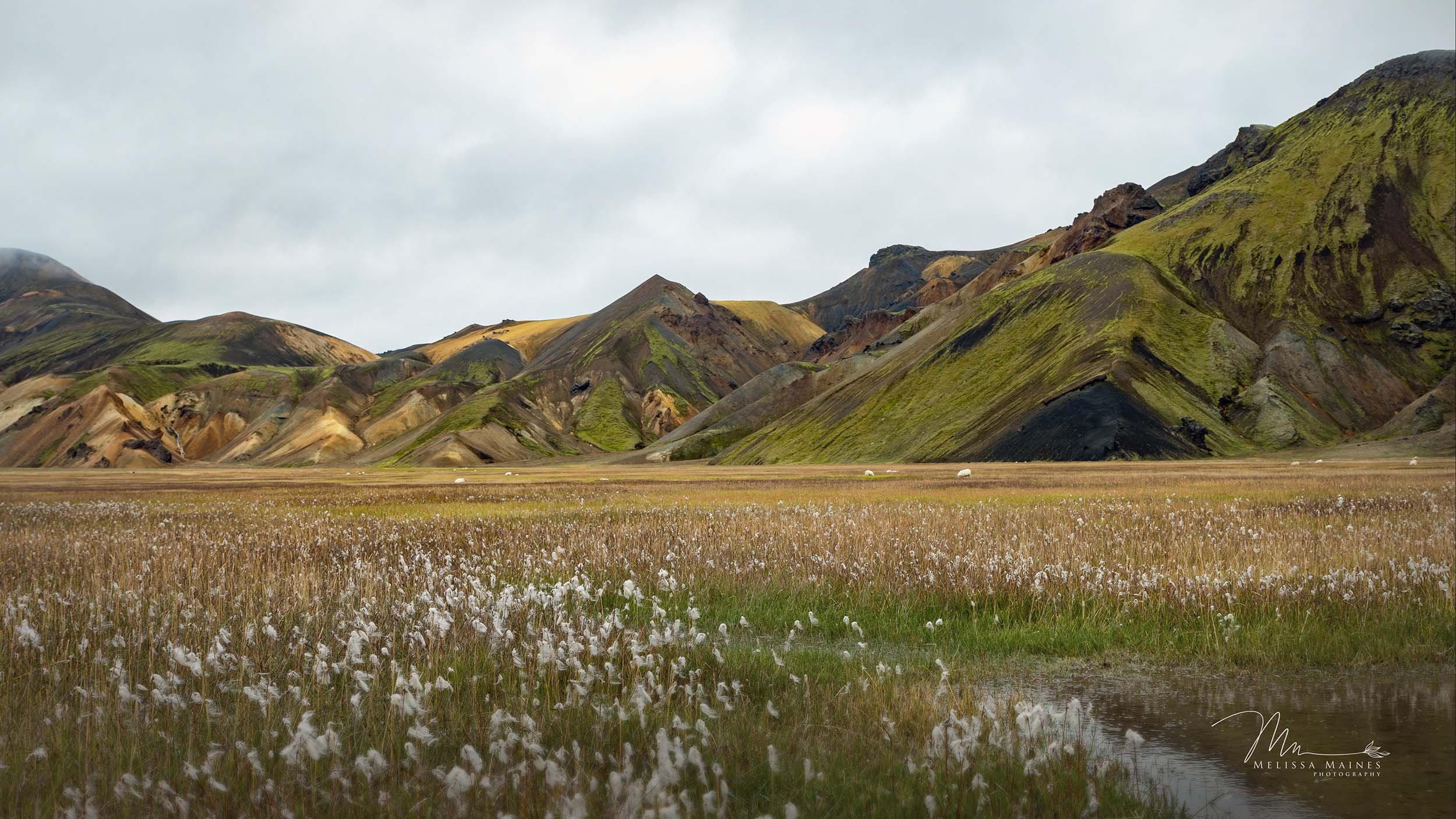 Mountains in the Landmannalaugar region, Landmannalaugar, Southern Region, Iceland