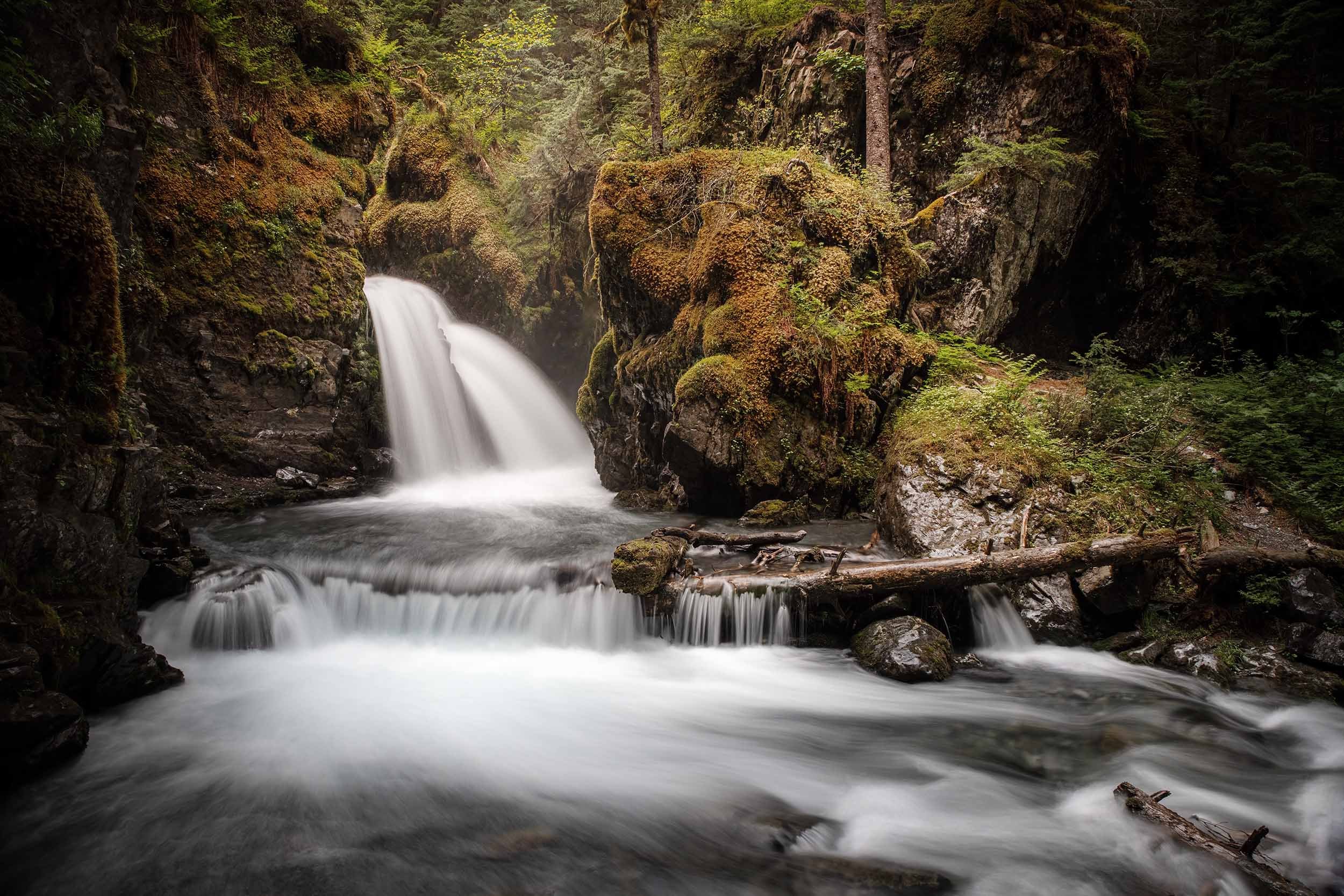 A serene forest scene showing Virgin Creek waterfall flowing into a stream amidst moss-covered rocks and lush greenery.