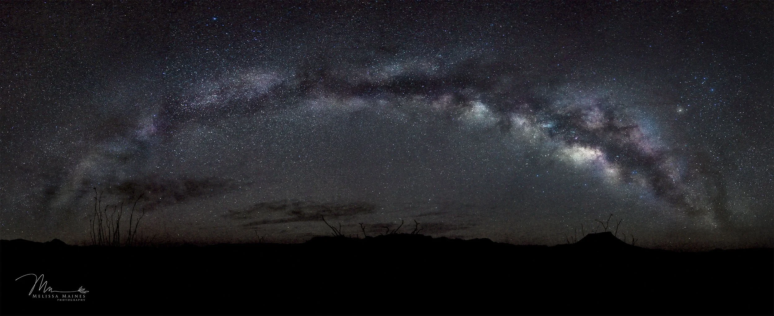 Starry night sky showing the Milky Way galaxy arcing across the sky, with a silhouette of barren trees and hills in the foreground.