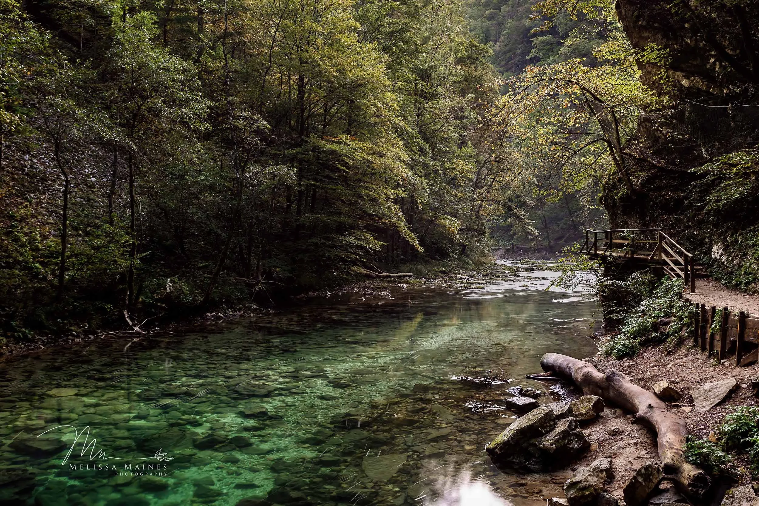 Serene Vintgar Gorge near Bled, Slovenia, with clear green waters and a wood path along side.