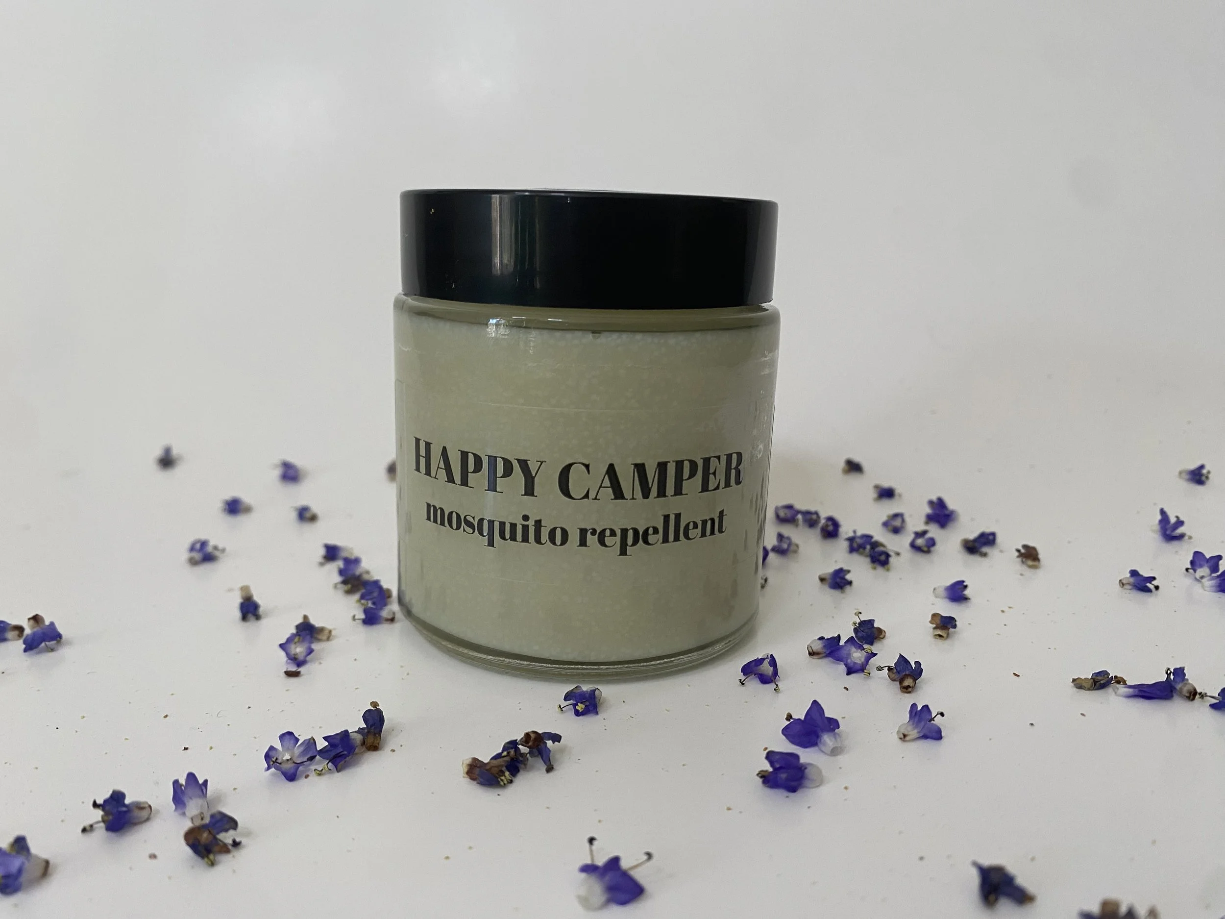 camp4front2.jpg (Copy)