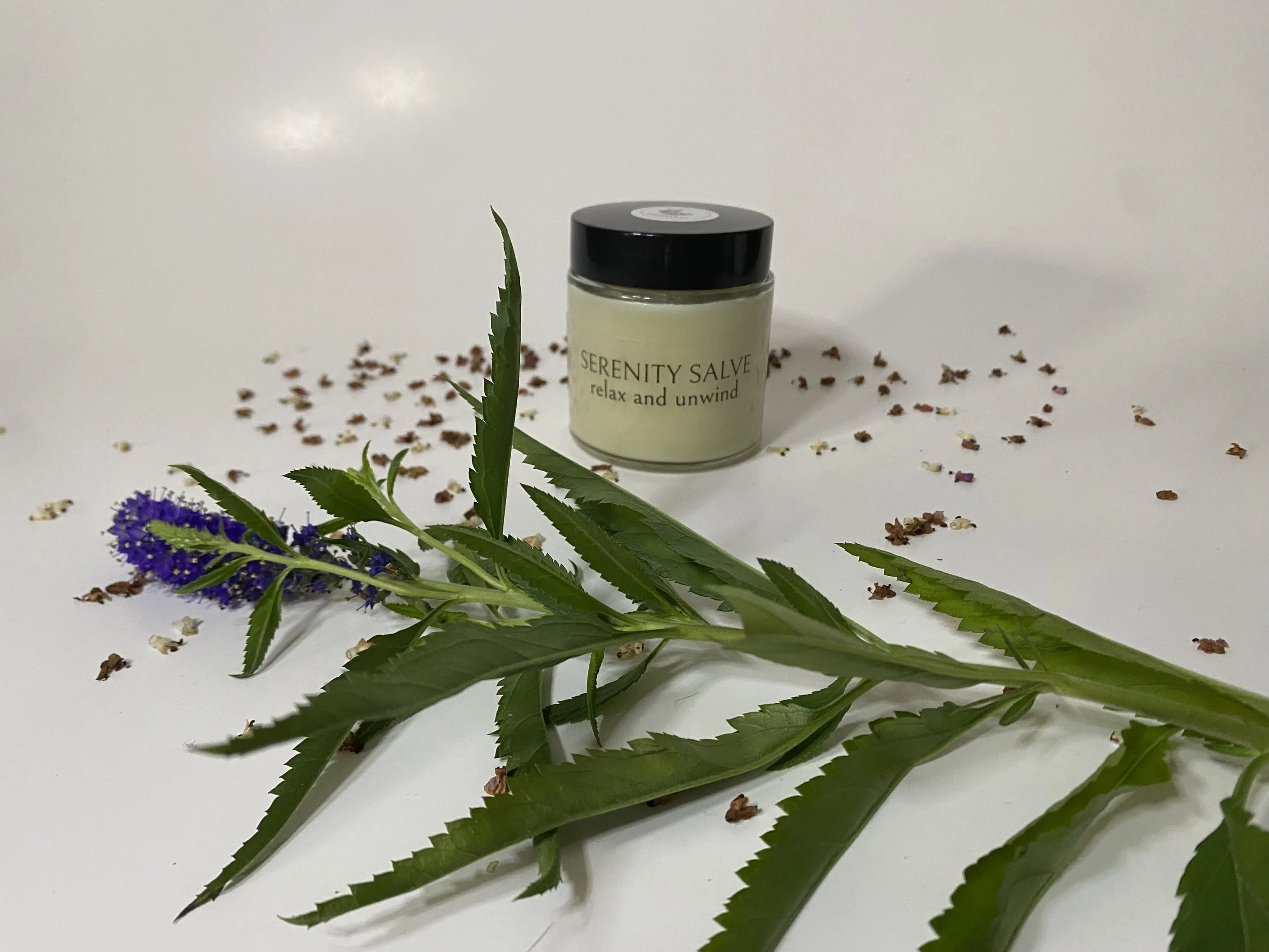 SERENITY SALVE 4 oz.