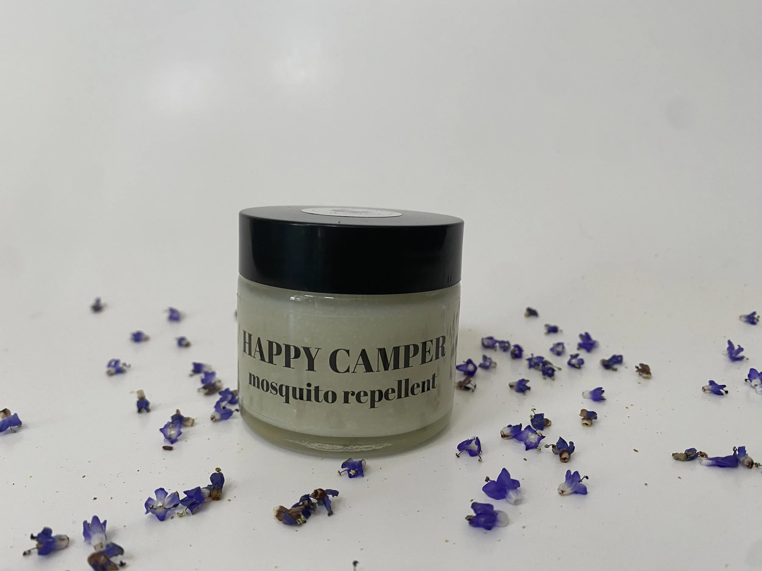 camp2front2.jpg (Copy)