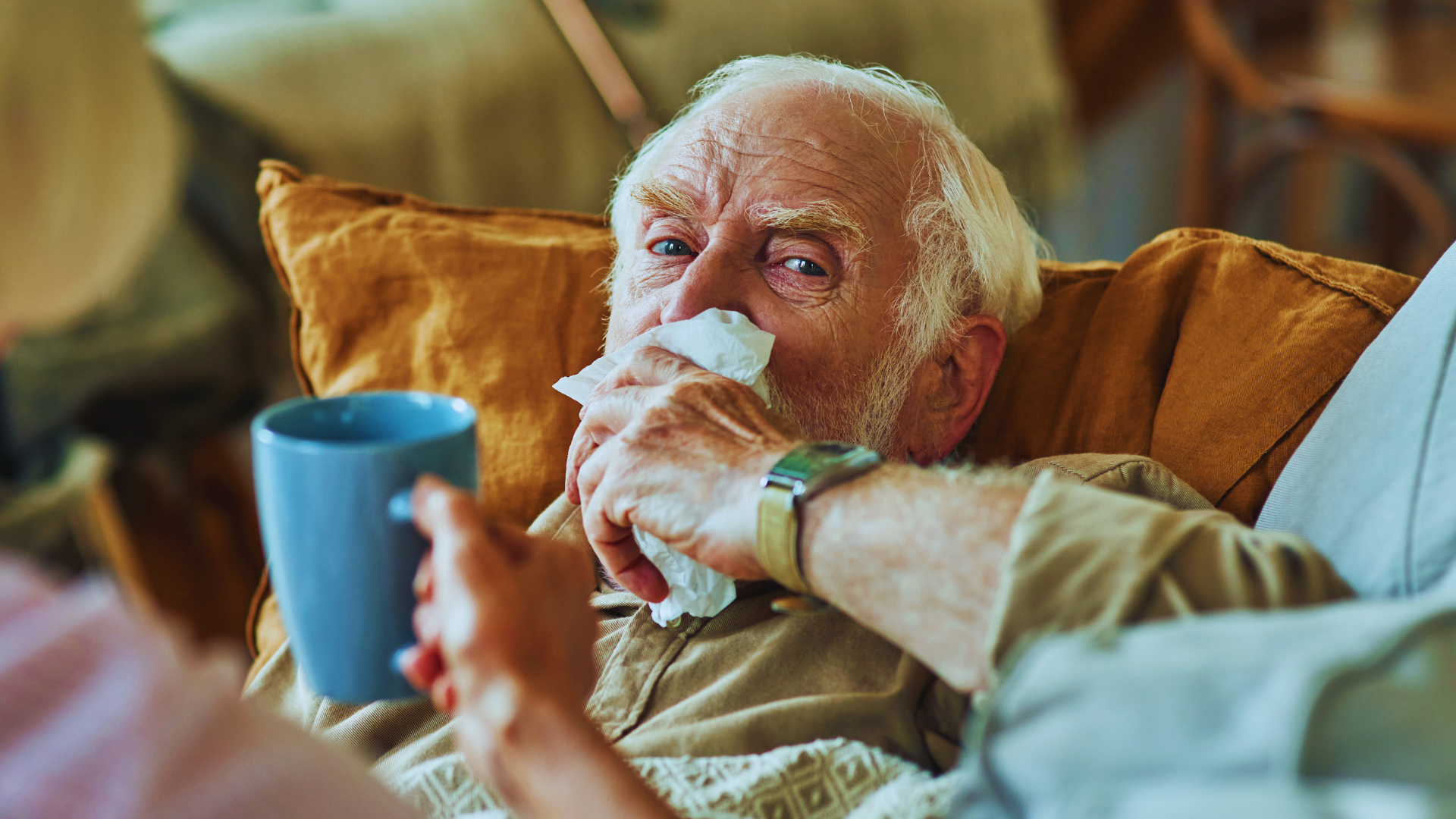 Apathy and Politics. Part Two.