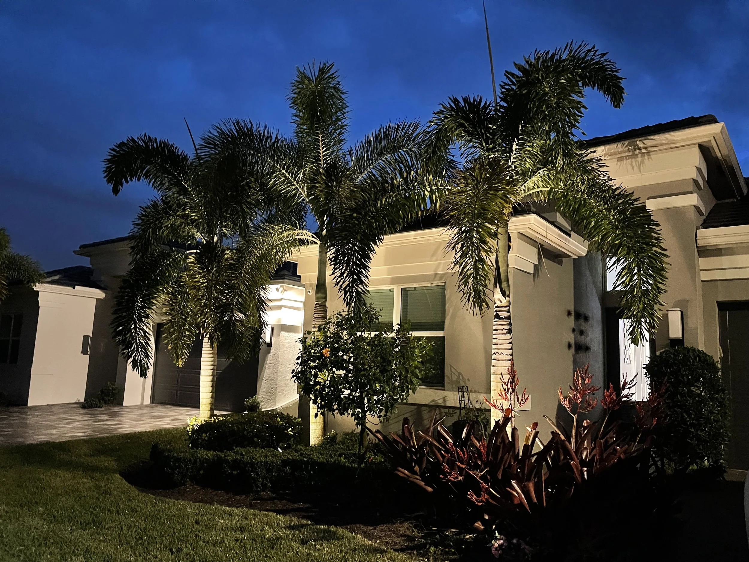 A modern house with a front yard featuring palm trees and landscaping at dusk.