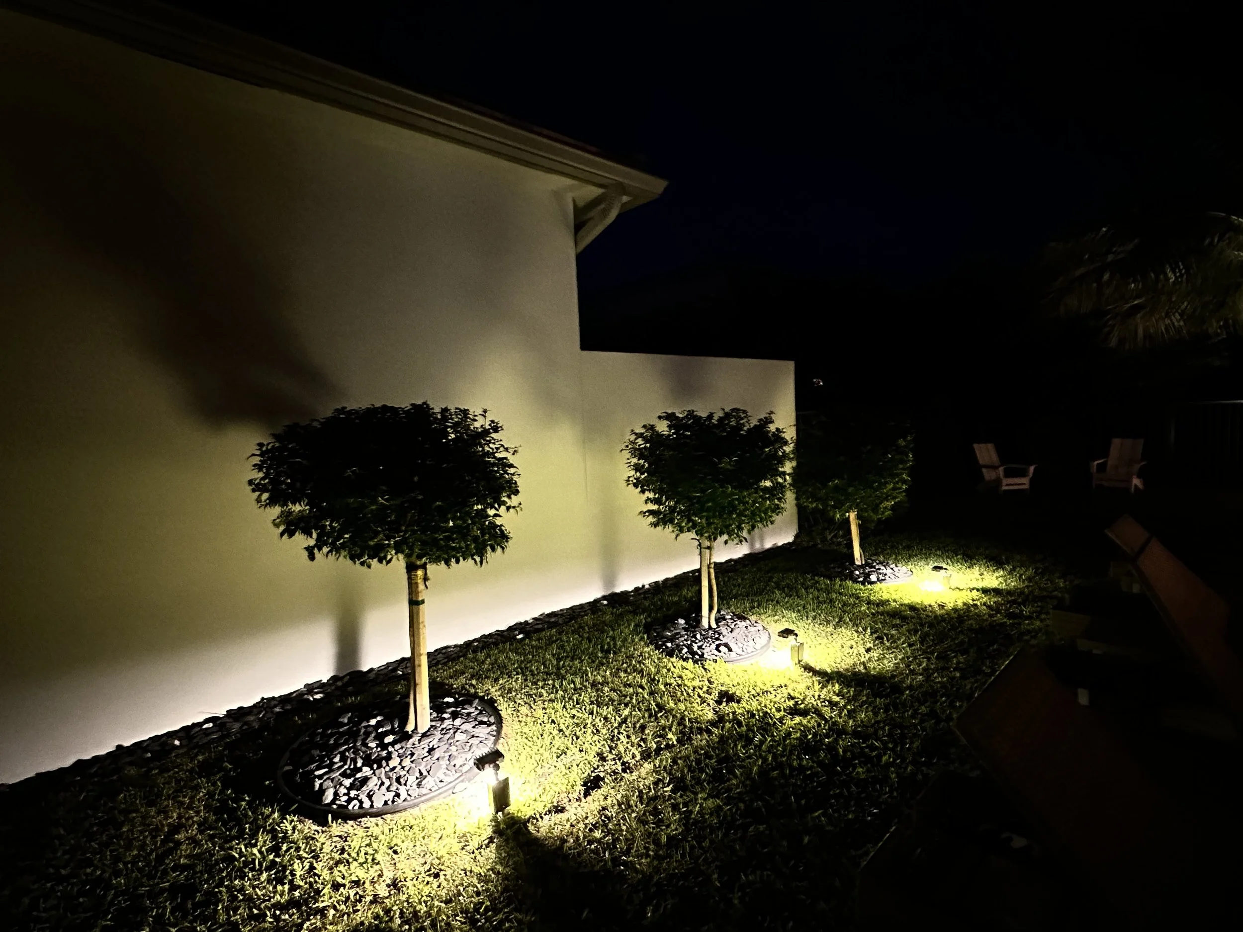 Three trimmed bushes planted in a yard, illuminated by outdoor lights at night.