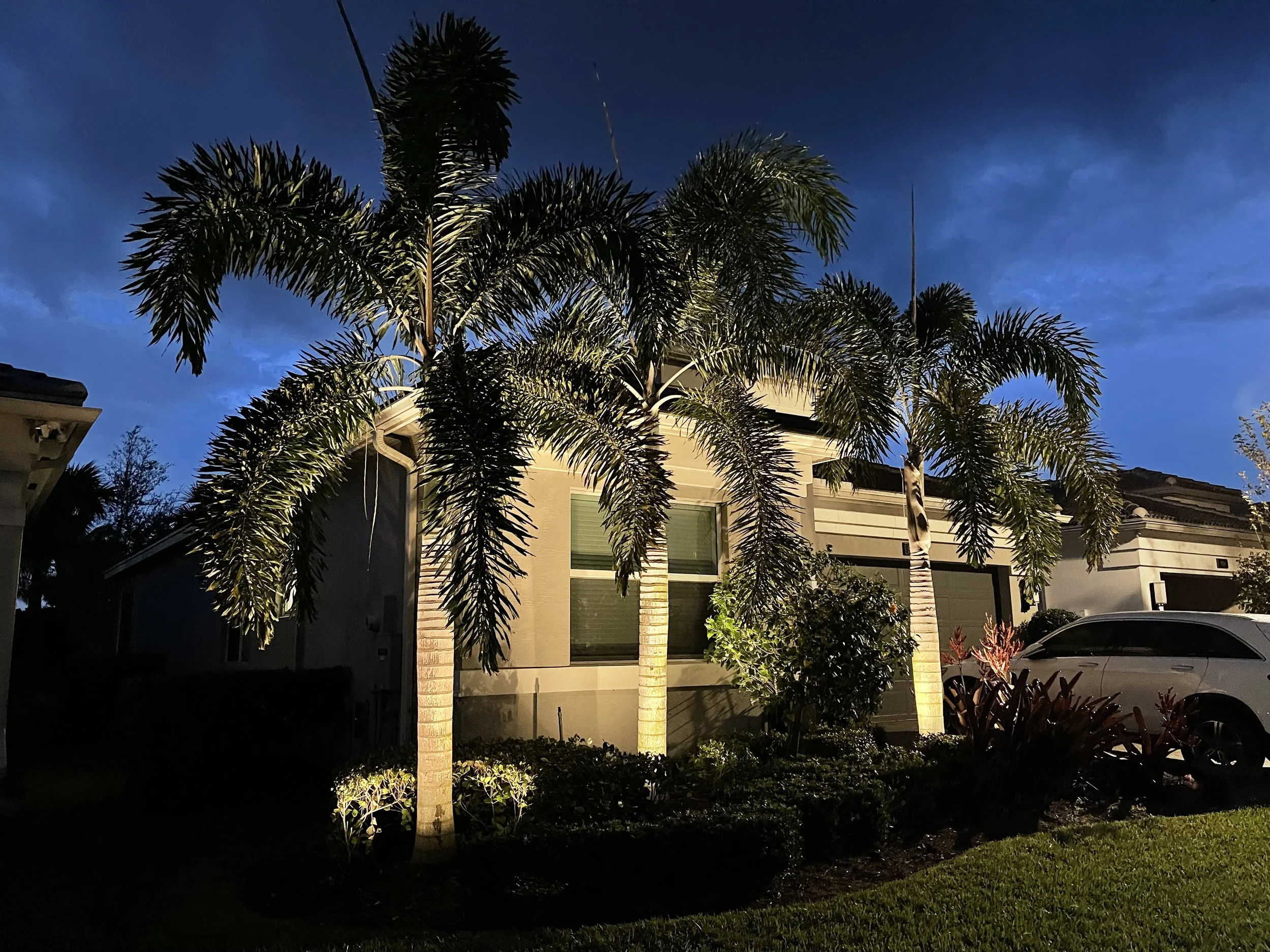 Nighttime view of a house with palm trees illuminated by exterior lights in a suburban neighborhood.