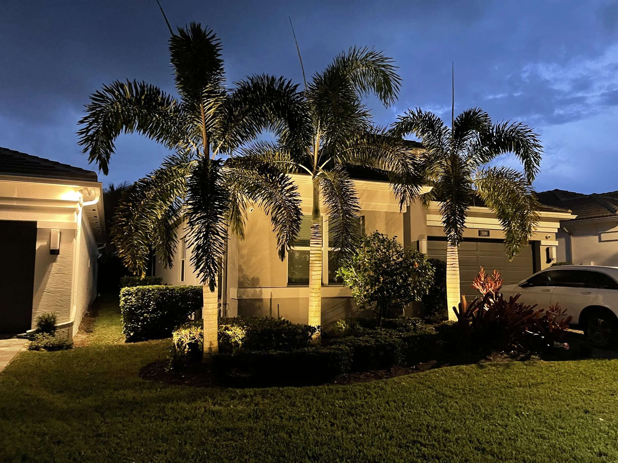 front yard of a house illuminated at dusk with three tall palm trees, a neatly trimmed shrub, a small garden with plants, and a white SUV parked in the driveway.