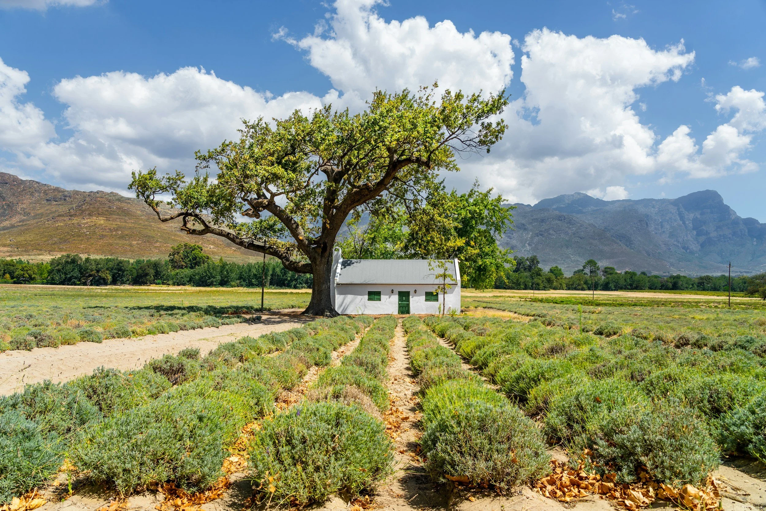 Eat, Sleep and Do in Franschhoek and winelands