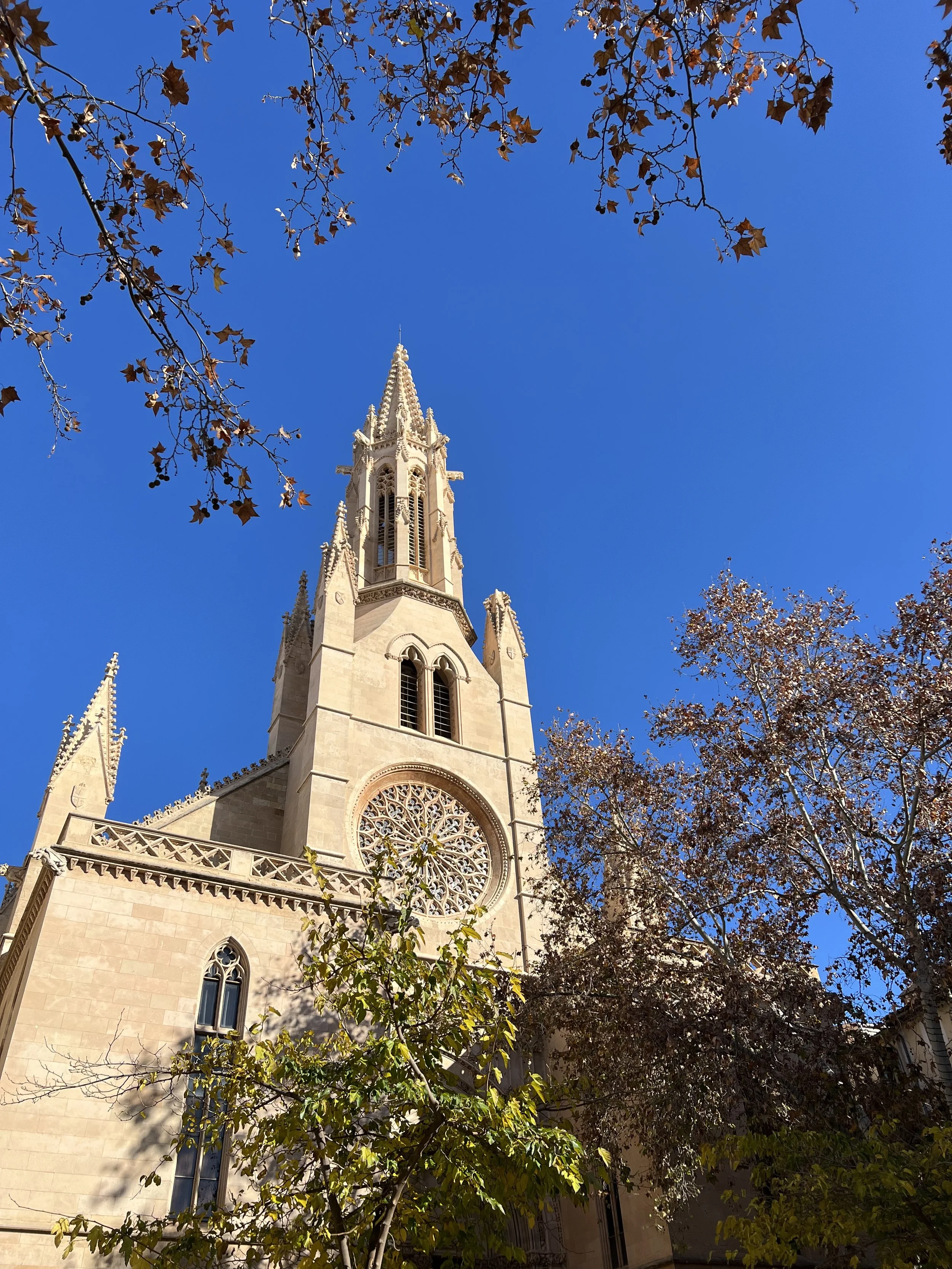 Eat, Sleep and Do in Palma de Mallorca