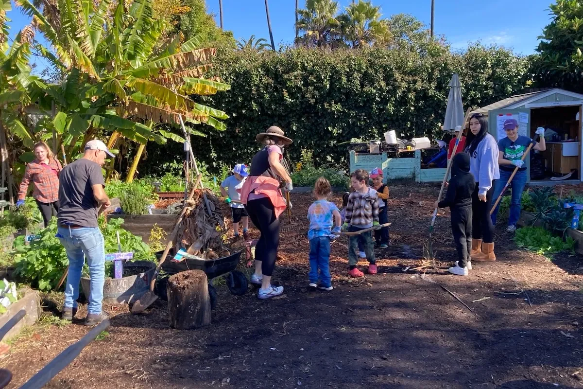 Harding Beautification Day