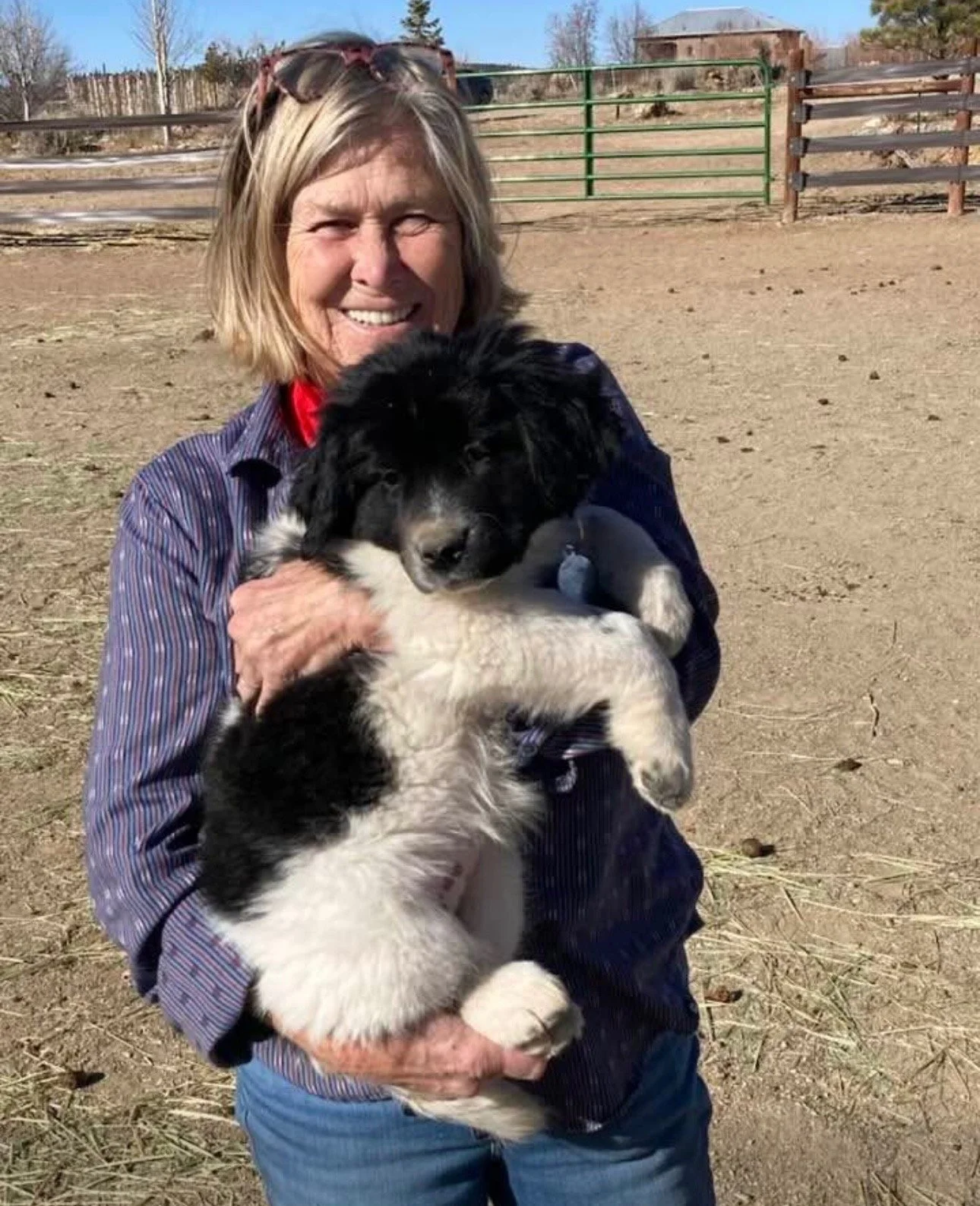 Volunteer Spotlight: Jane Dunlap