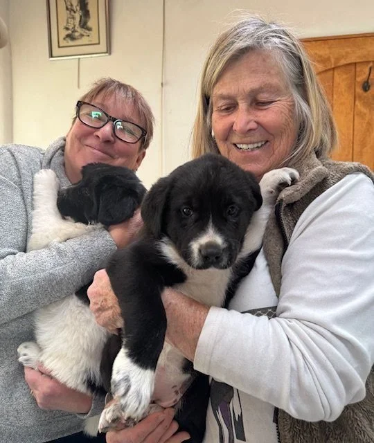 Two women smiling while holding two puppies in an indoor setting.