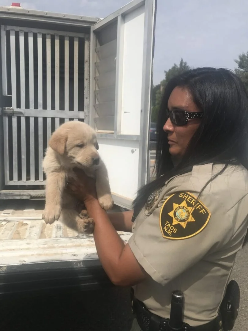 A sheriff's officer holding a fluffy yellow puppy near a police truck with a cage in the background.