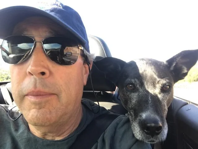 A man wearing sunglasses, a blue cap, and a dark shirt taking a selfie in a car seat, with a black and white dog sitting beside him. The dog has large ears and is resting its head near the man's face.