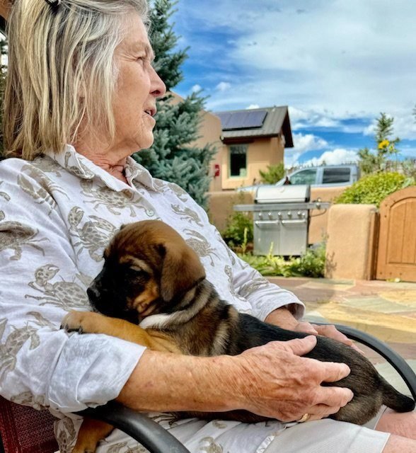 An elderly woman sitting outdoors holding a sleeping brown and black puppy in her lap.