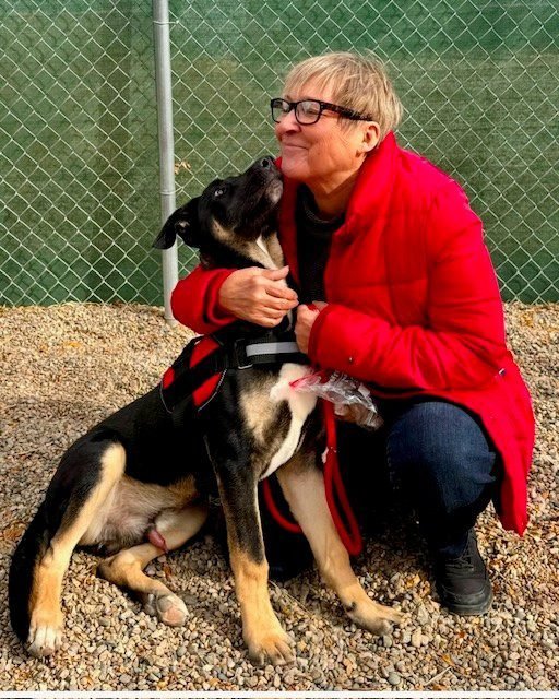A woman with short blonde hair, glasses, and a red jacket is kneeling and hugging a large black and tan dog sitting on gravel, with a chain-link fence and green grass in the background.