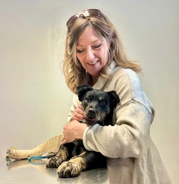 A woman with shoulder-length hair and glasses on her head is hugging a young black and brown puppy on a table in a room with a plain beige wall.