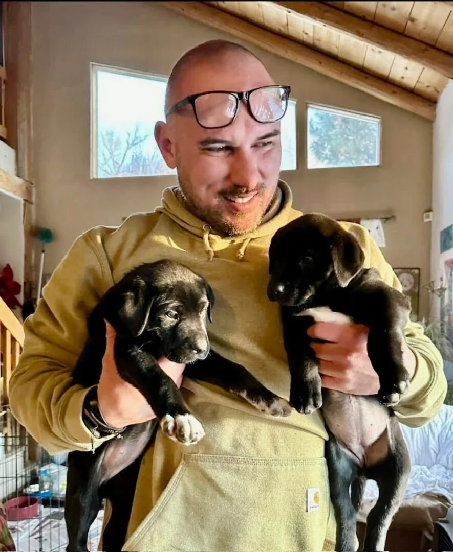A man with glasses on his head holding two black puppies with white markings inside a cozy, well-lit room with high windows and wooden ceiling.