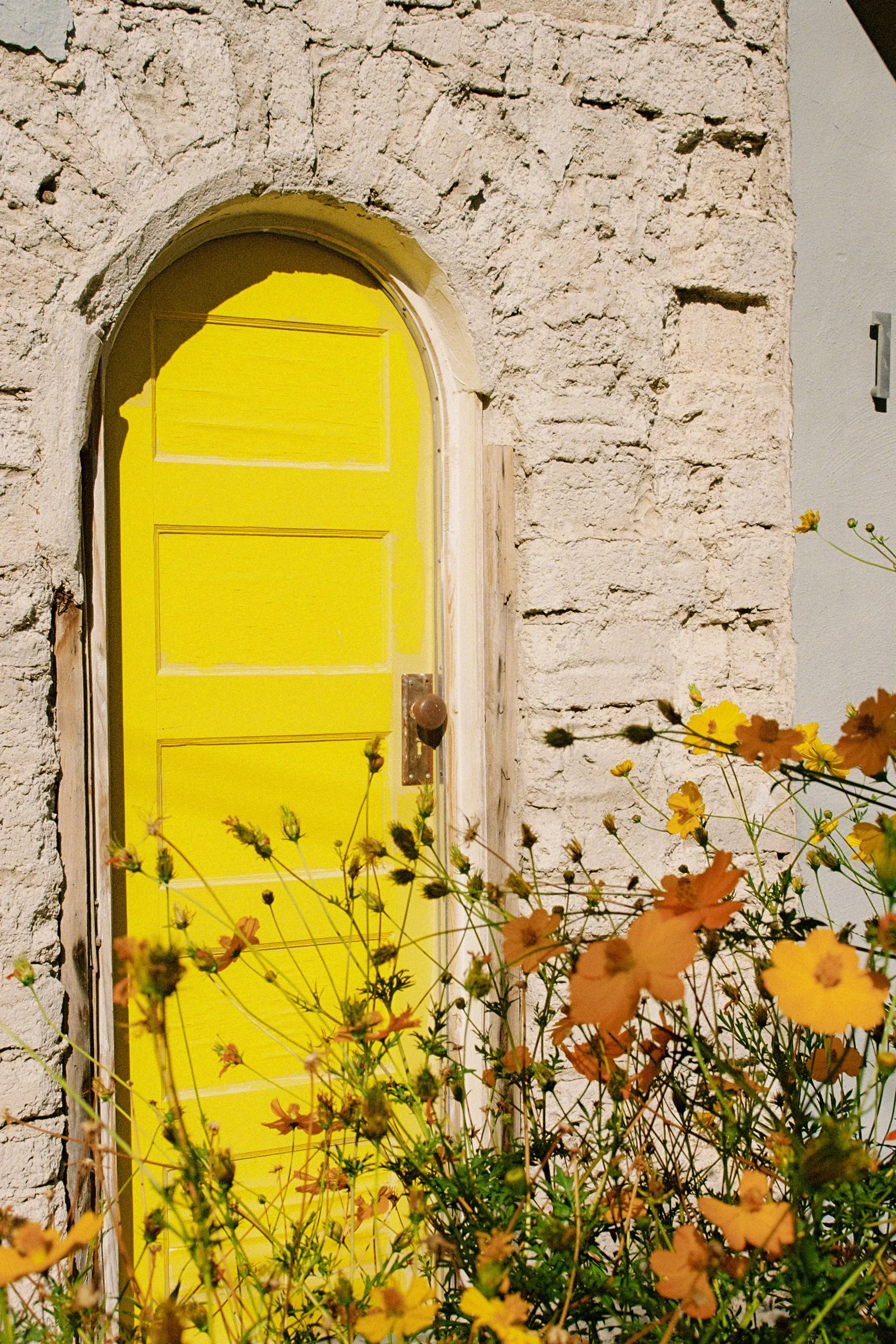 YellowDoor11x14.jpg