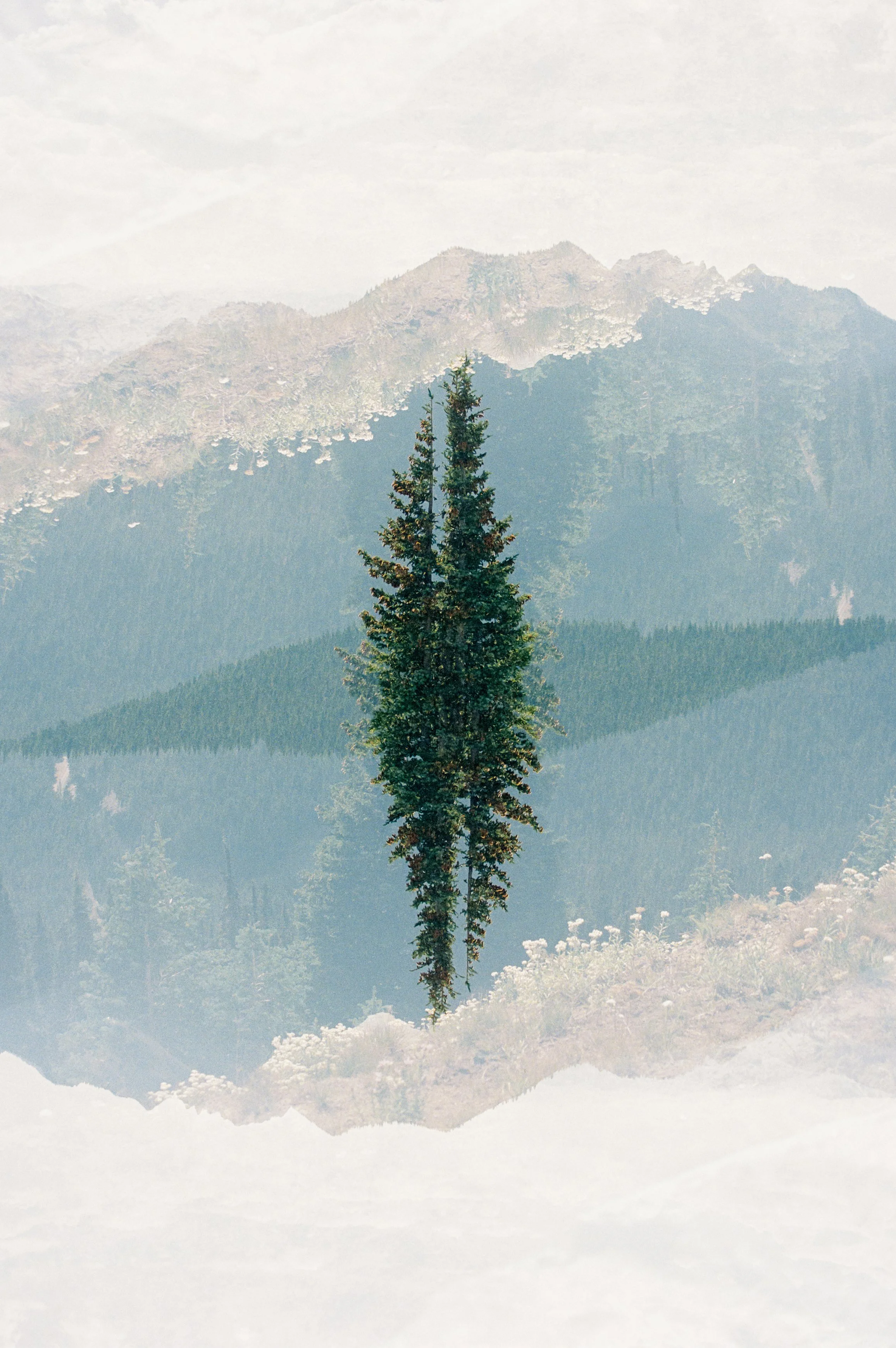 MtRainierDouble 2 11x14.jpg